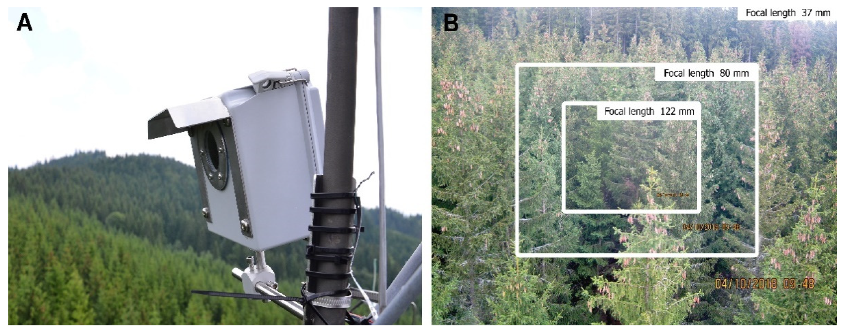 Forests 12 00627 g002