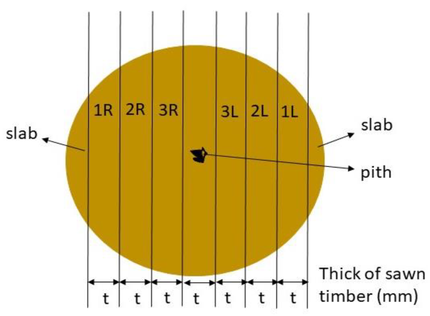 Forests 12 00639 g002 Forests 12 00639 g002