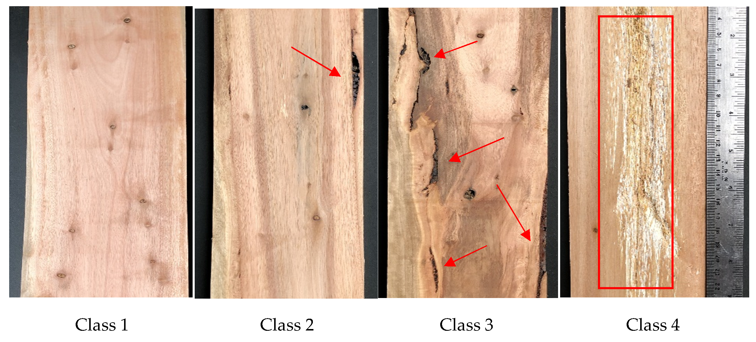 Forests 12 00639 g003 Forests 12 00639 g003
