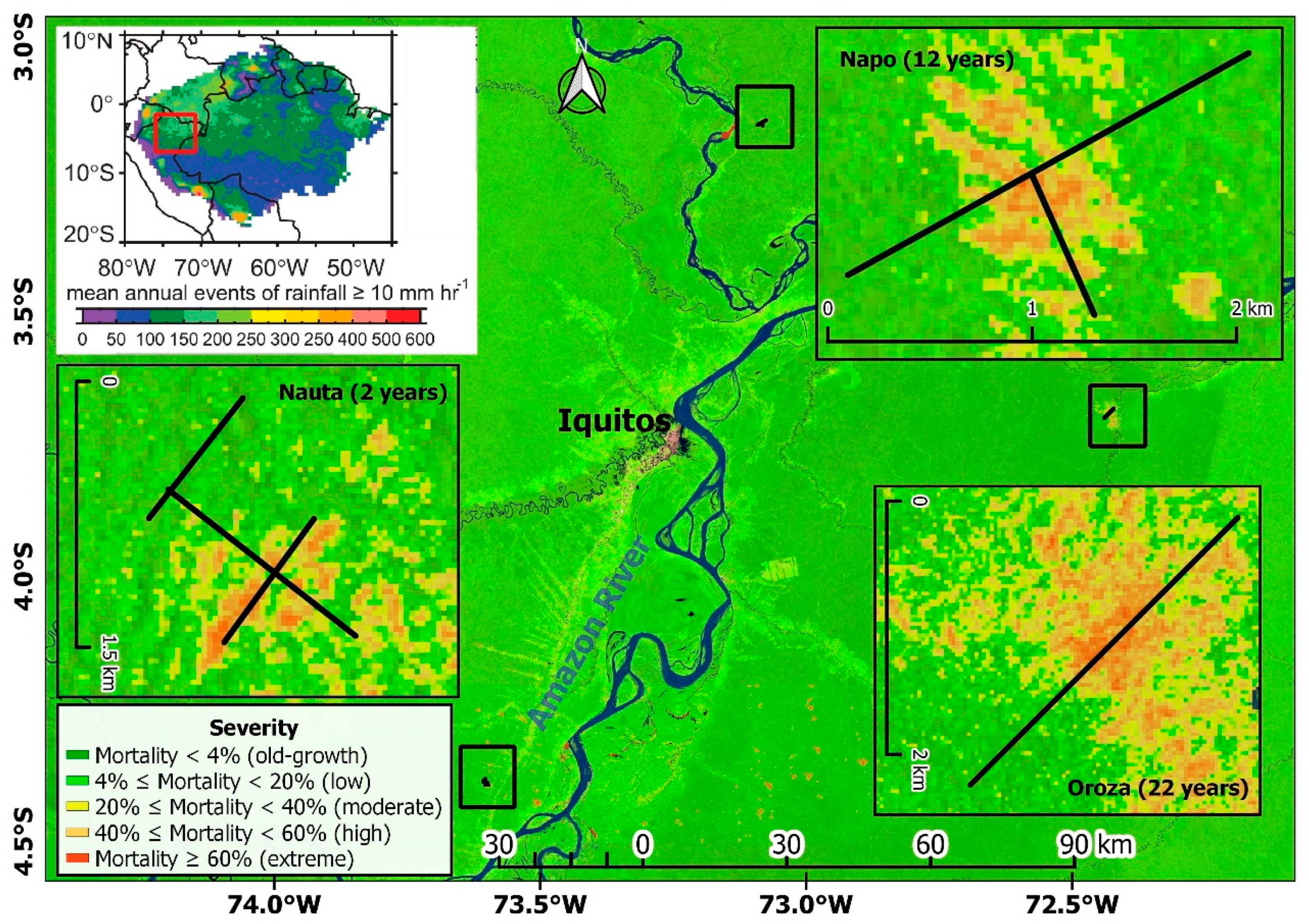 Forests | Free Full-Text | Recovery of Forest Structure Following  Large-Scale Windthrows in the Northwestern Amazon | HTML