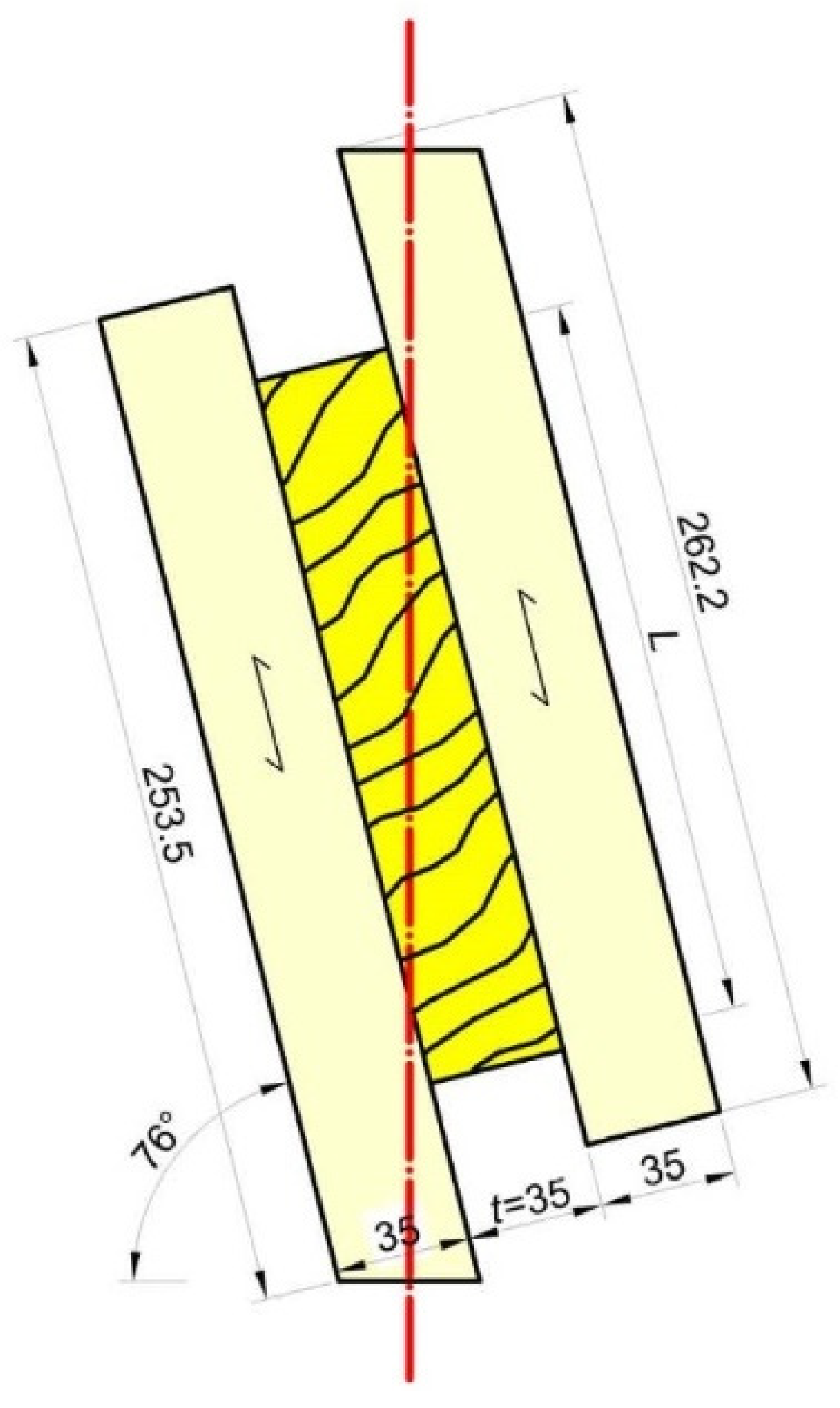 Forests 12 00668 g001