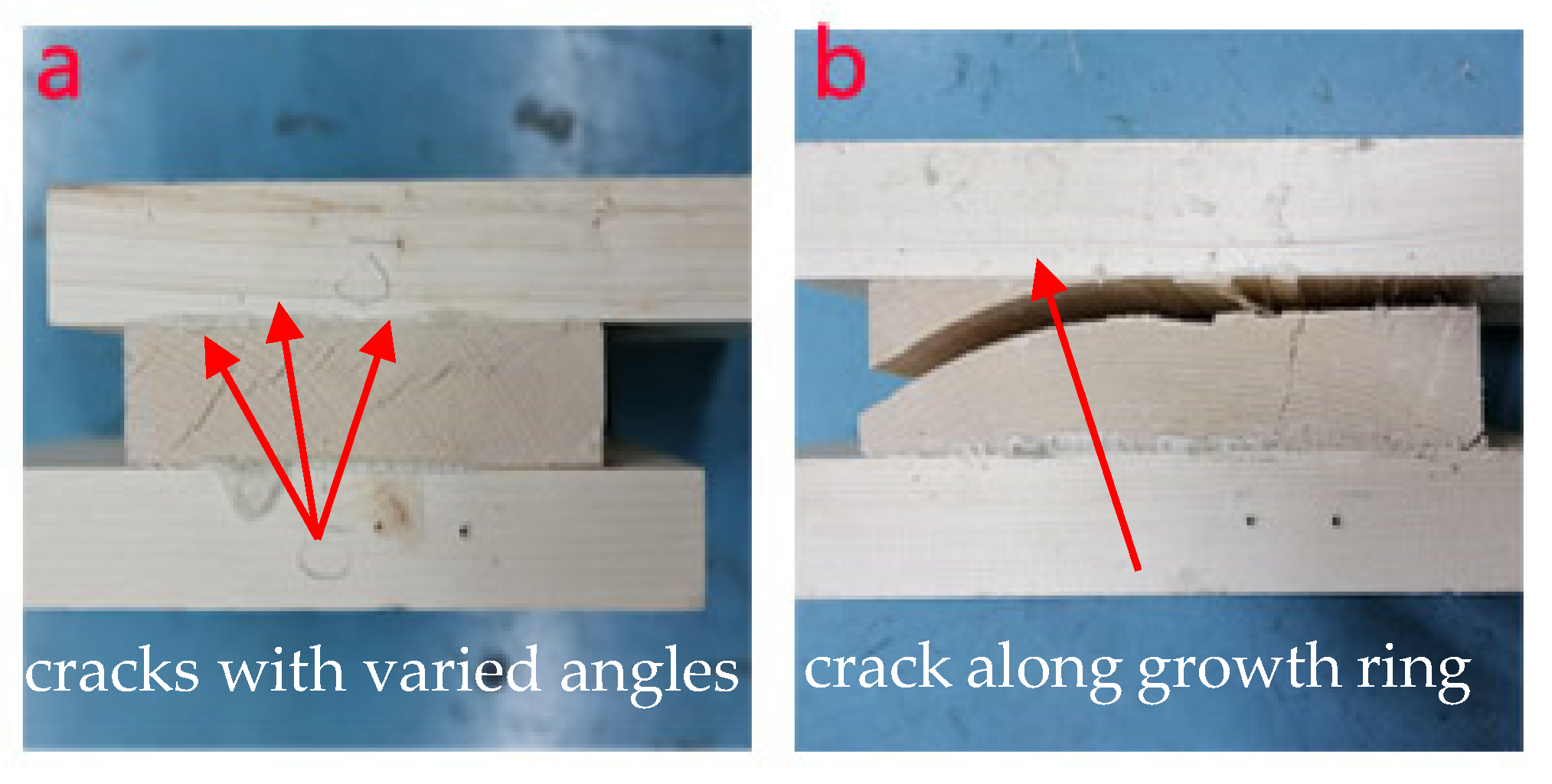 Forests 12 00668 g005