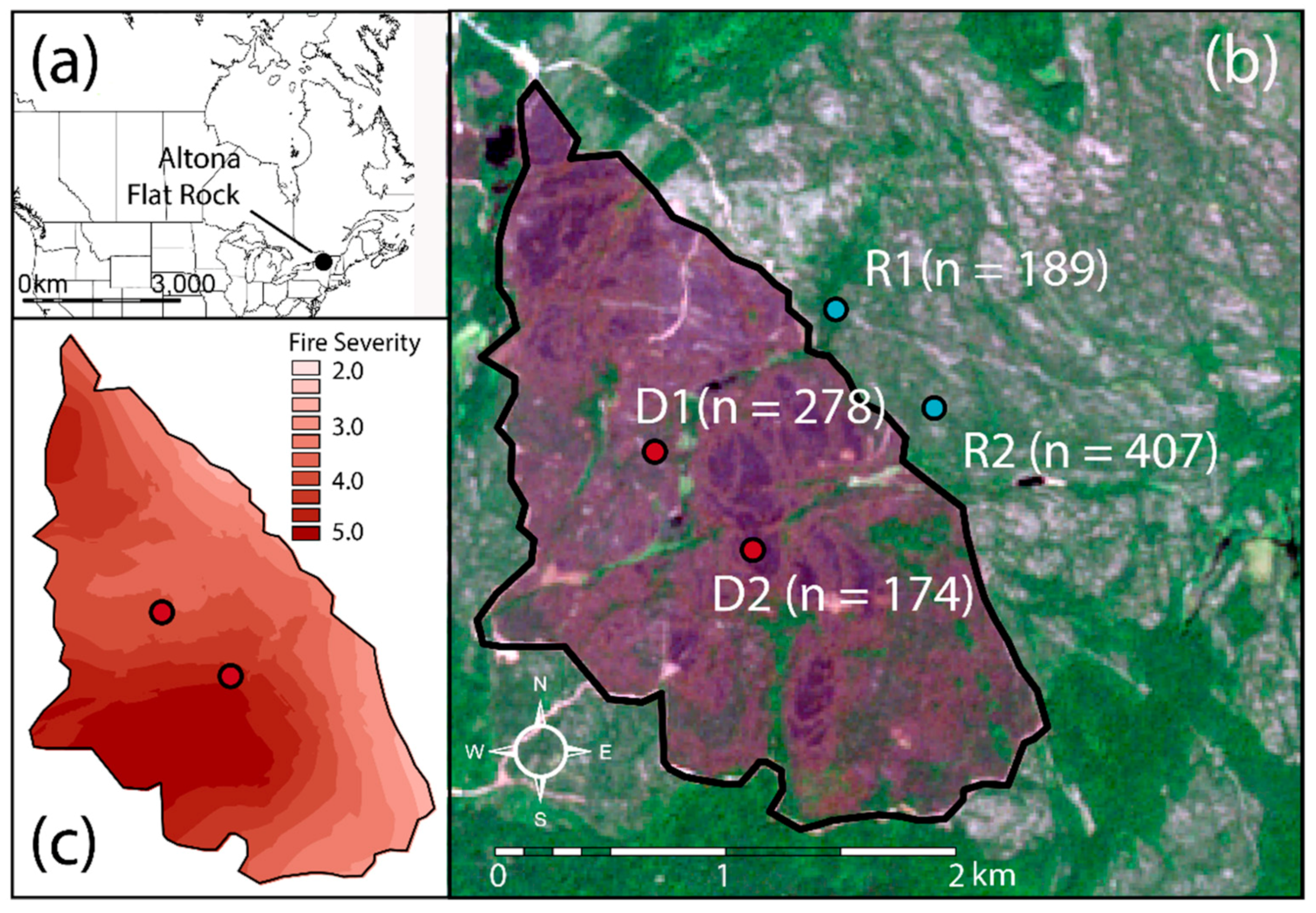 Forests 12 00676 g001