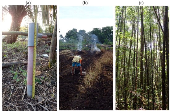 Harvesting peat moss contributes to climate change, Oregon State scientist  says