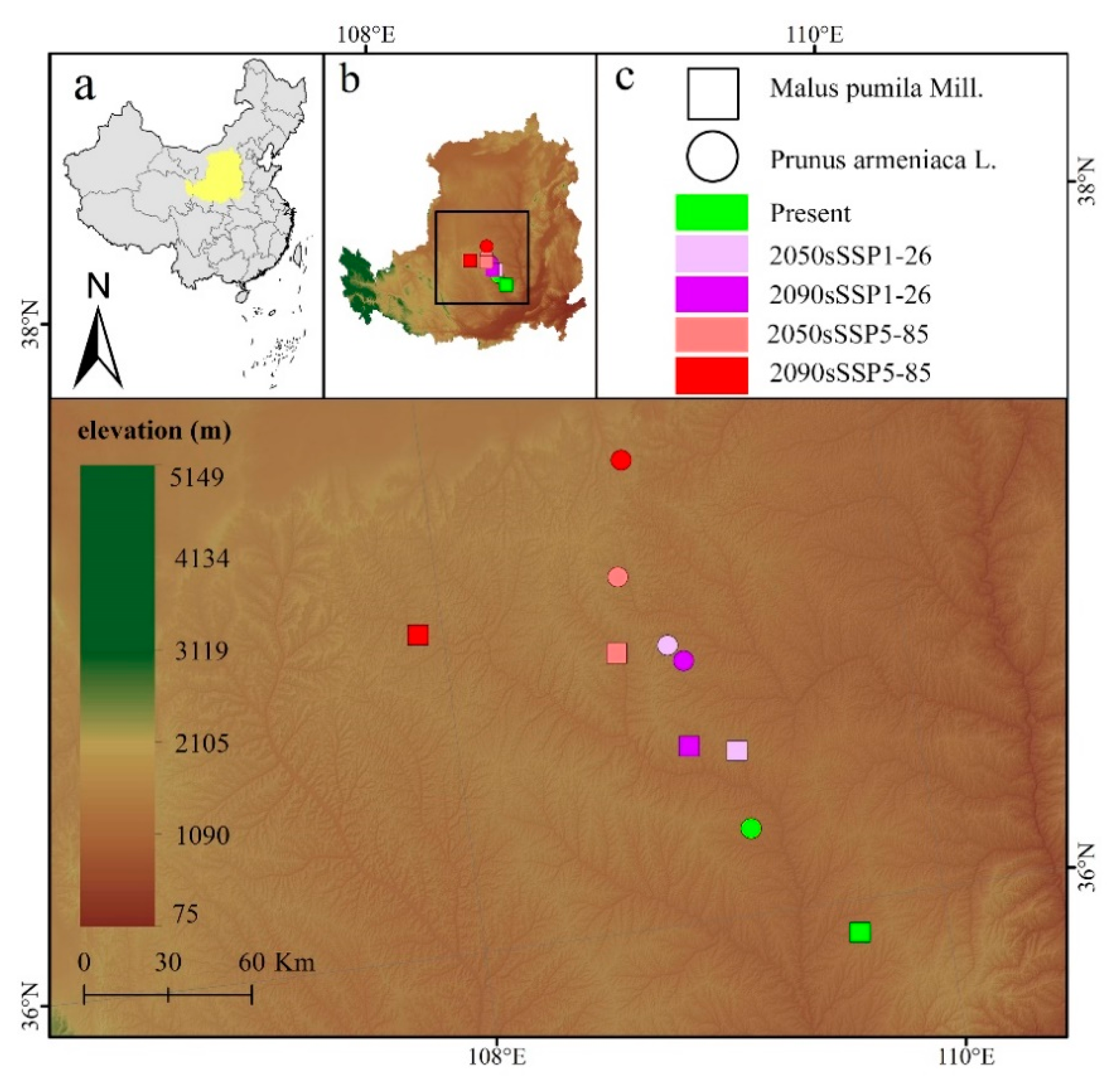 Forests 12 00747 g006