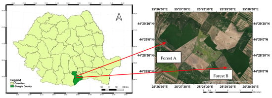 Forests | Free Full-Text | Chemical Control of Corythucha arcuata