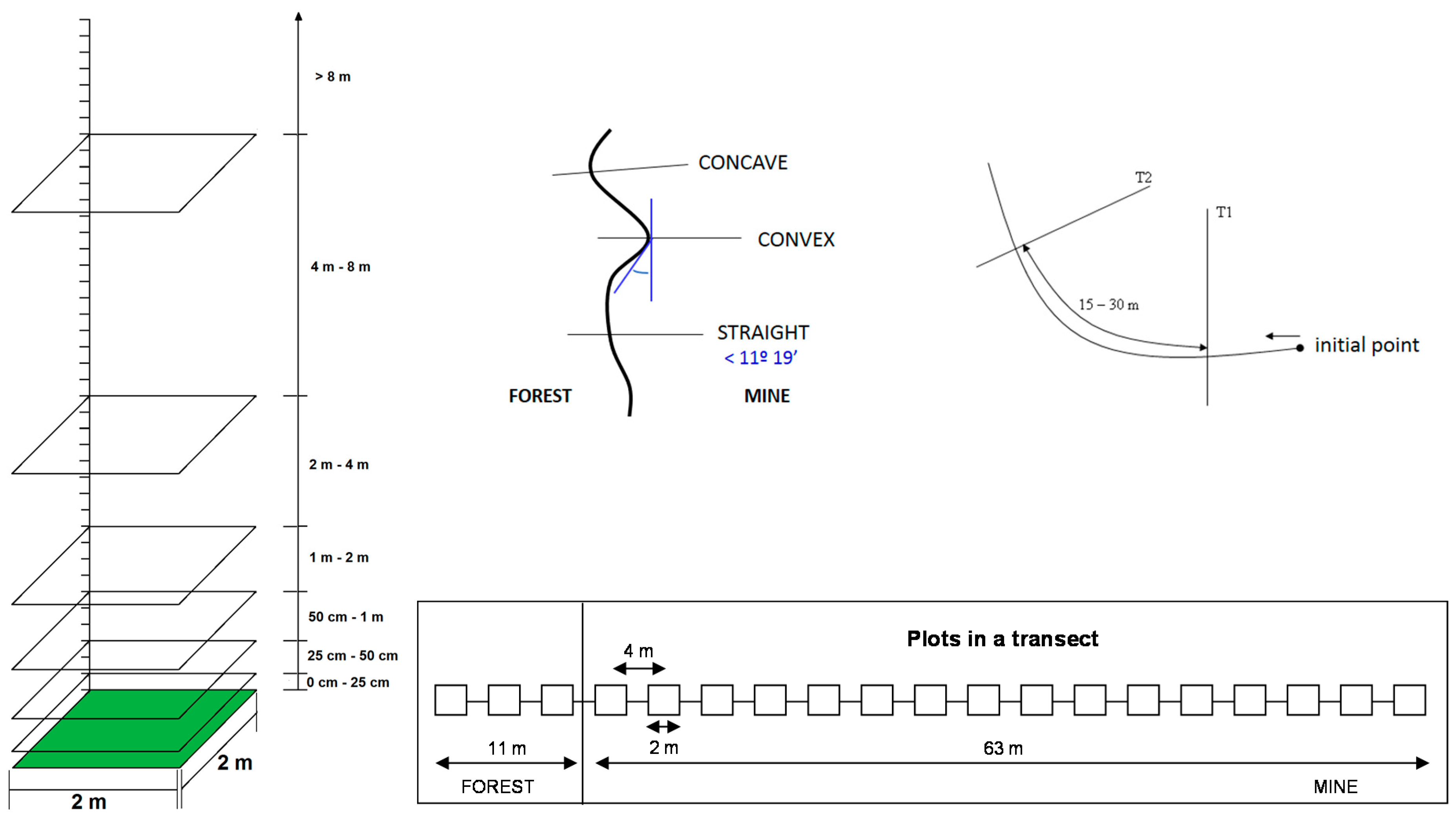 Forests 12 00773 g0a2
