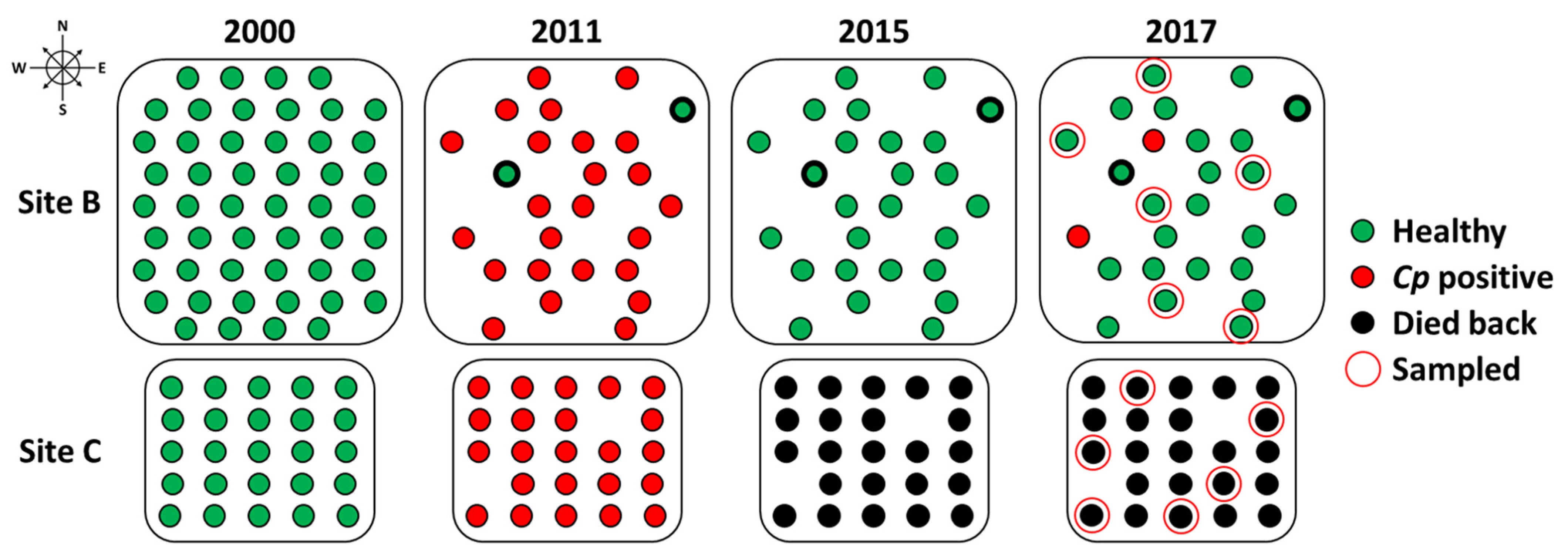 Forests 12 00794 g003