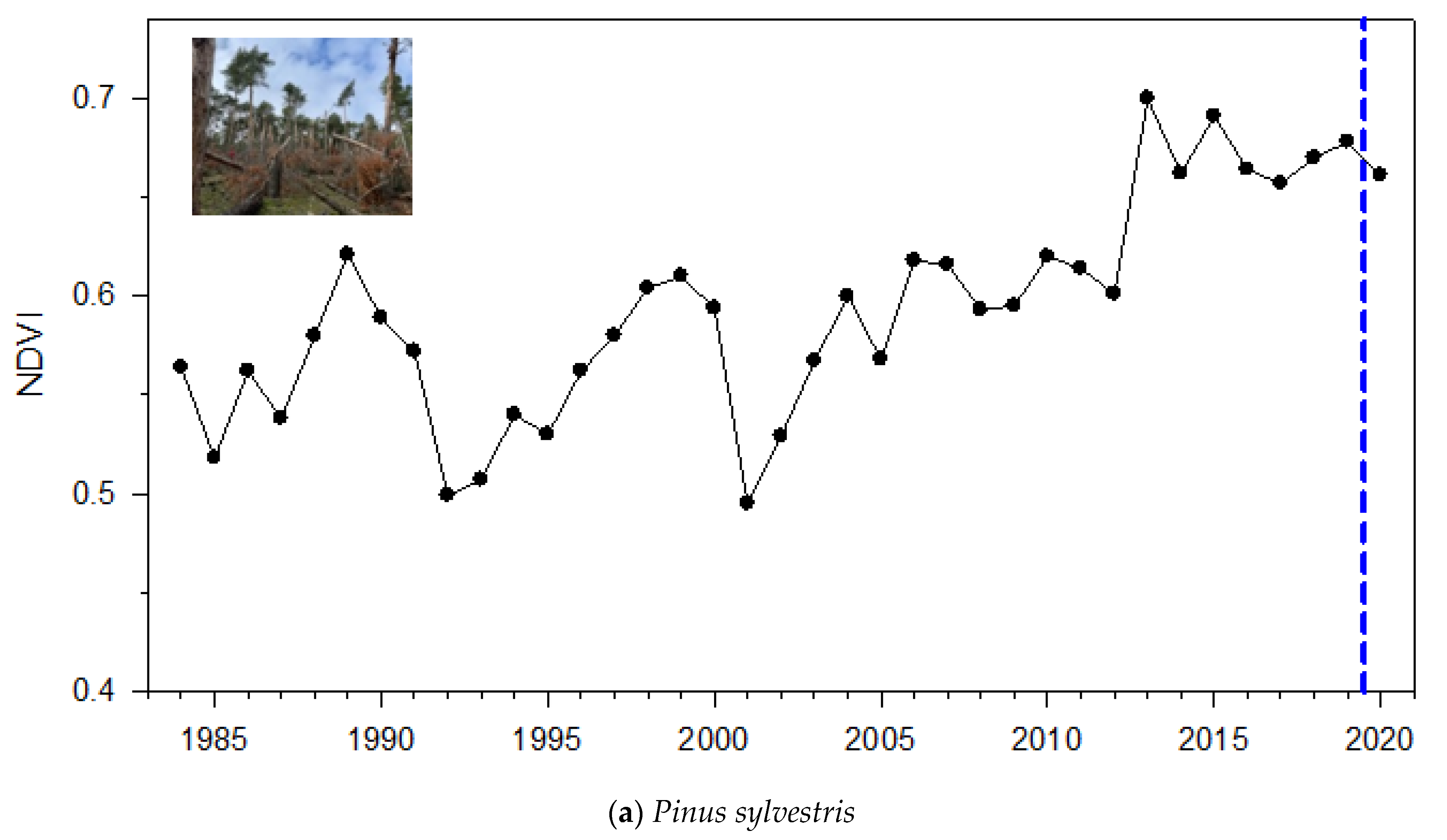 Forests 12 00817 g001a