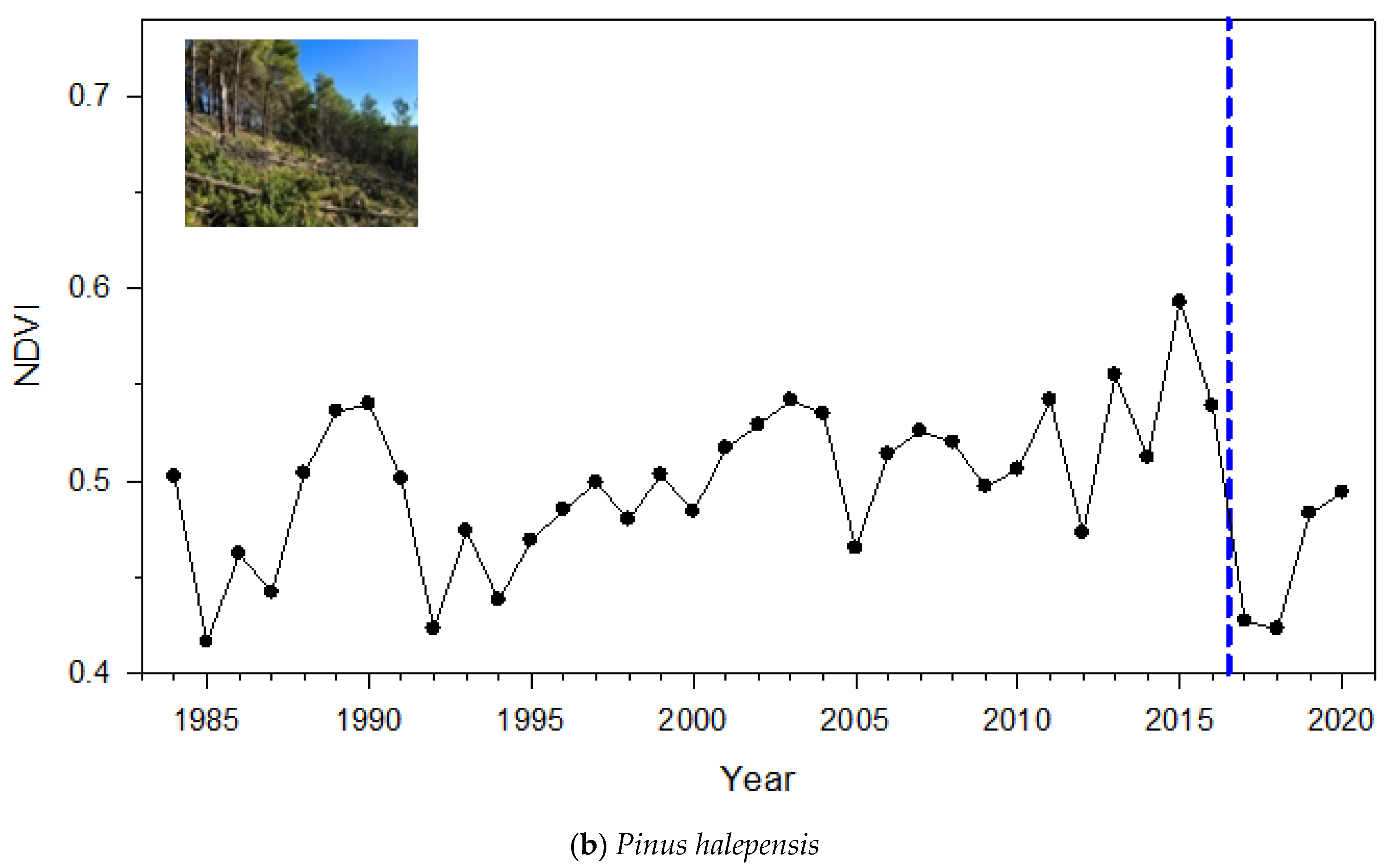 Forests 12 00817 g001b