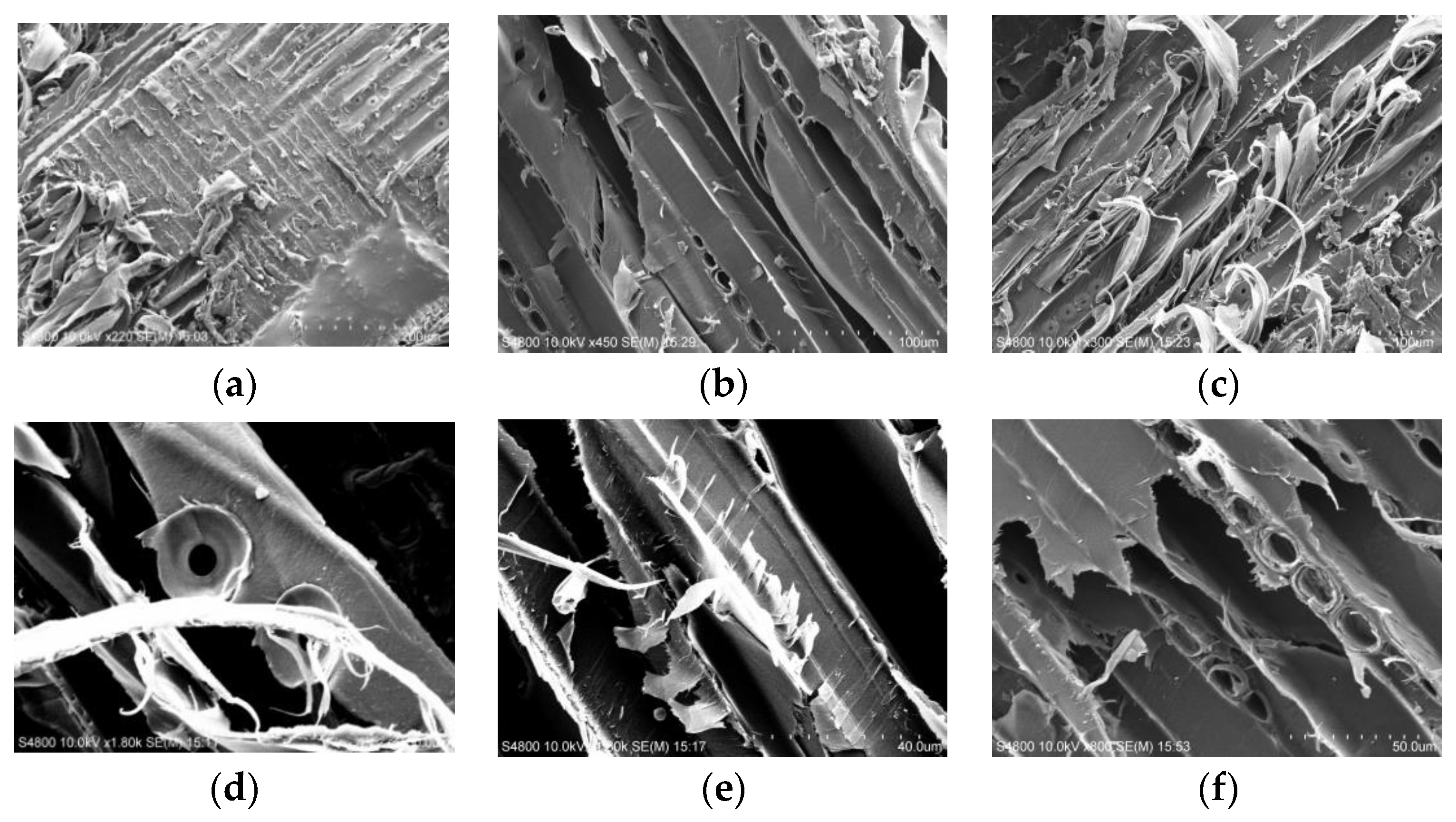 Out-of-plane shear strength of cross-laminated timber made of Japanese  Larch (Larix kaempferi) with various layups and spans, Journal of Wood  Science