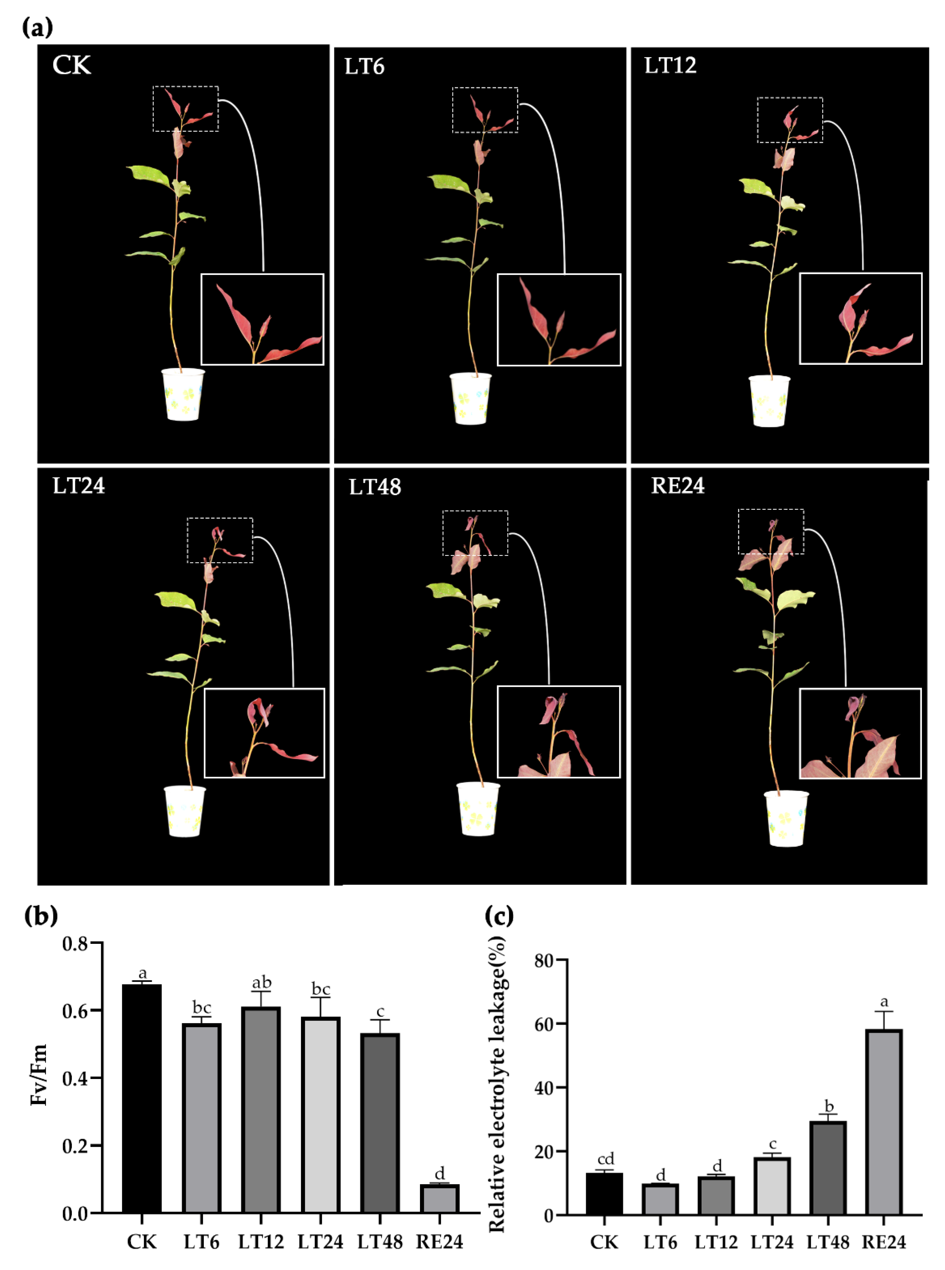 Forests 12 00836 g001