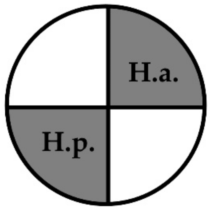 Forests 12 00854 g001