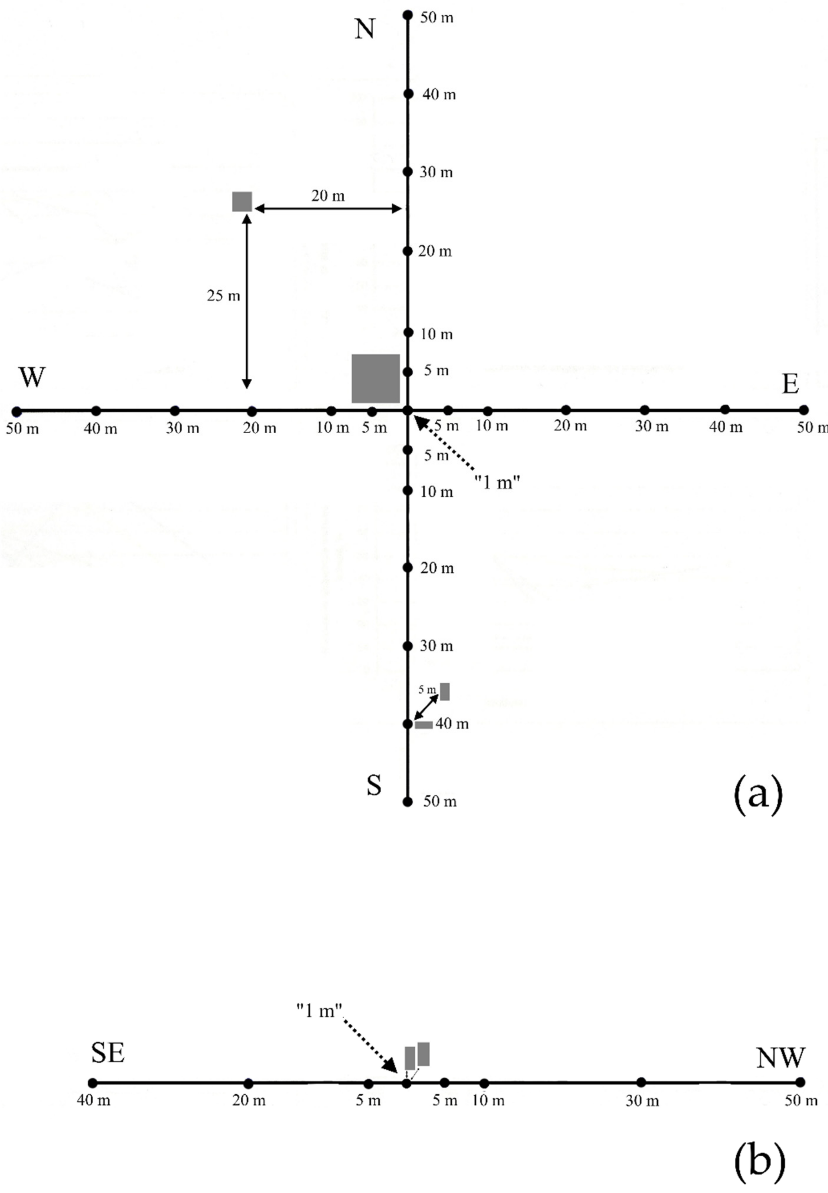 Forests 12 00854 g002