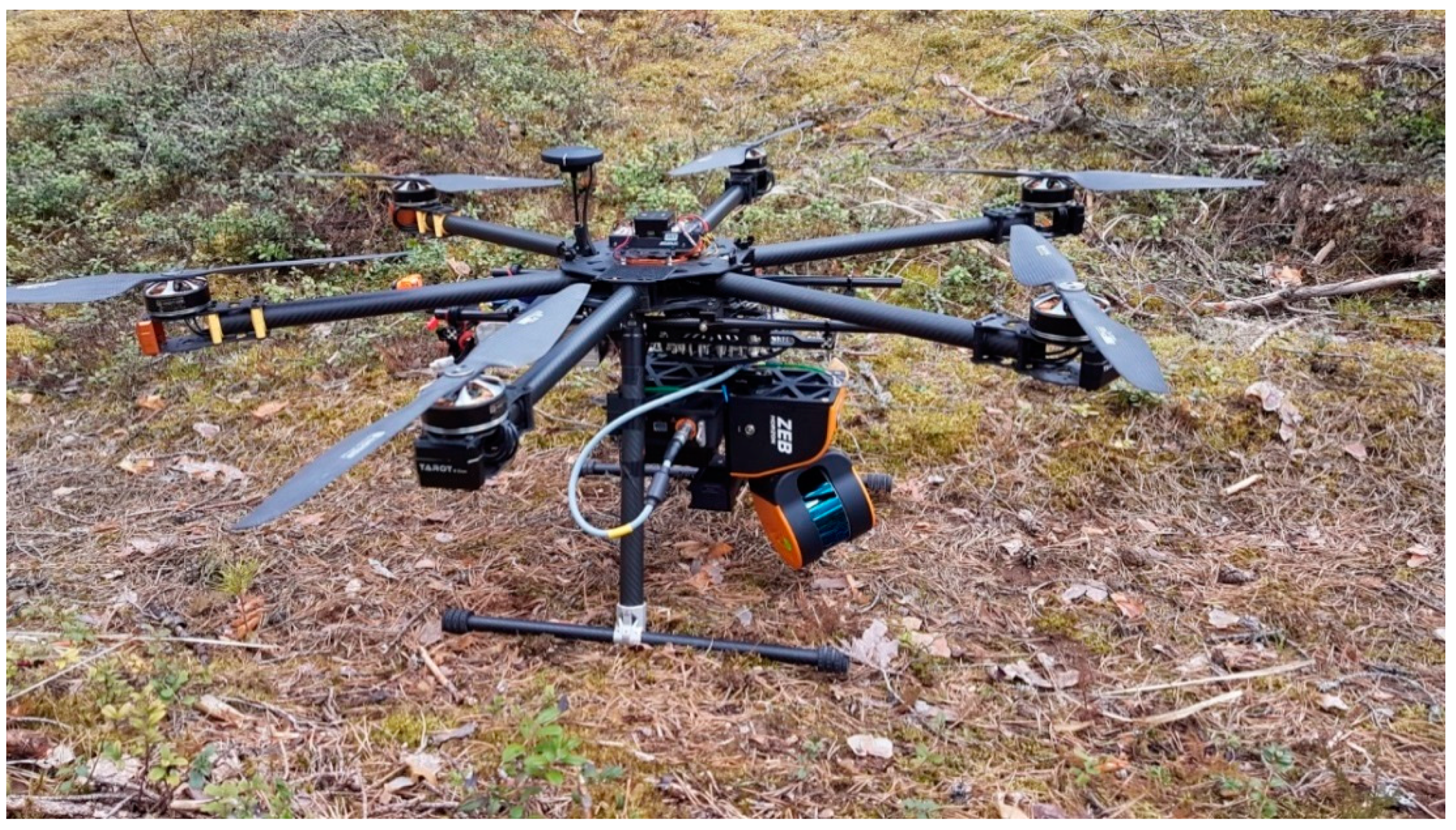 Forests 12 00856 g002