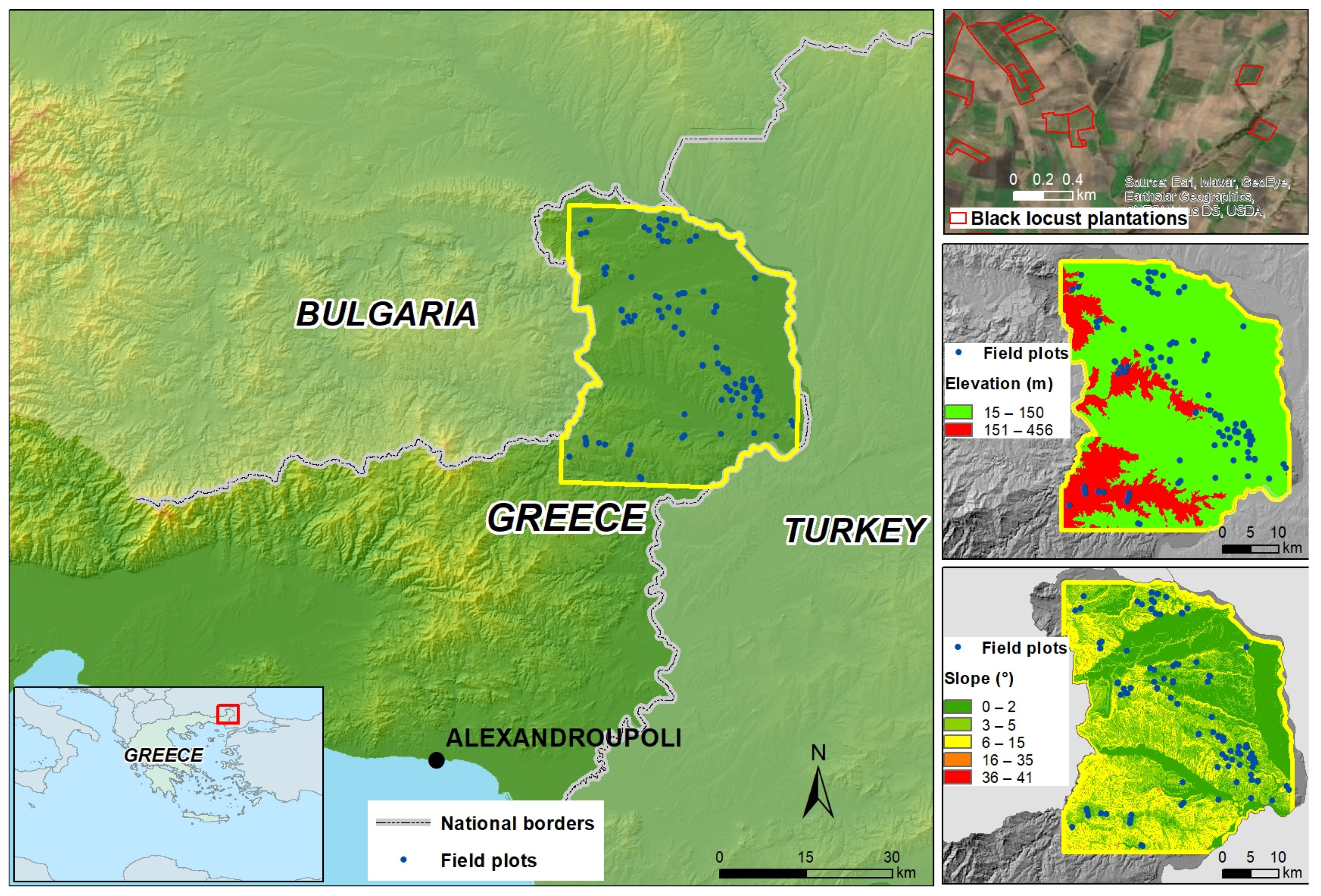 Forests 12 00902 g001 Forests 12 00902 g001
