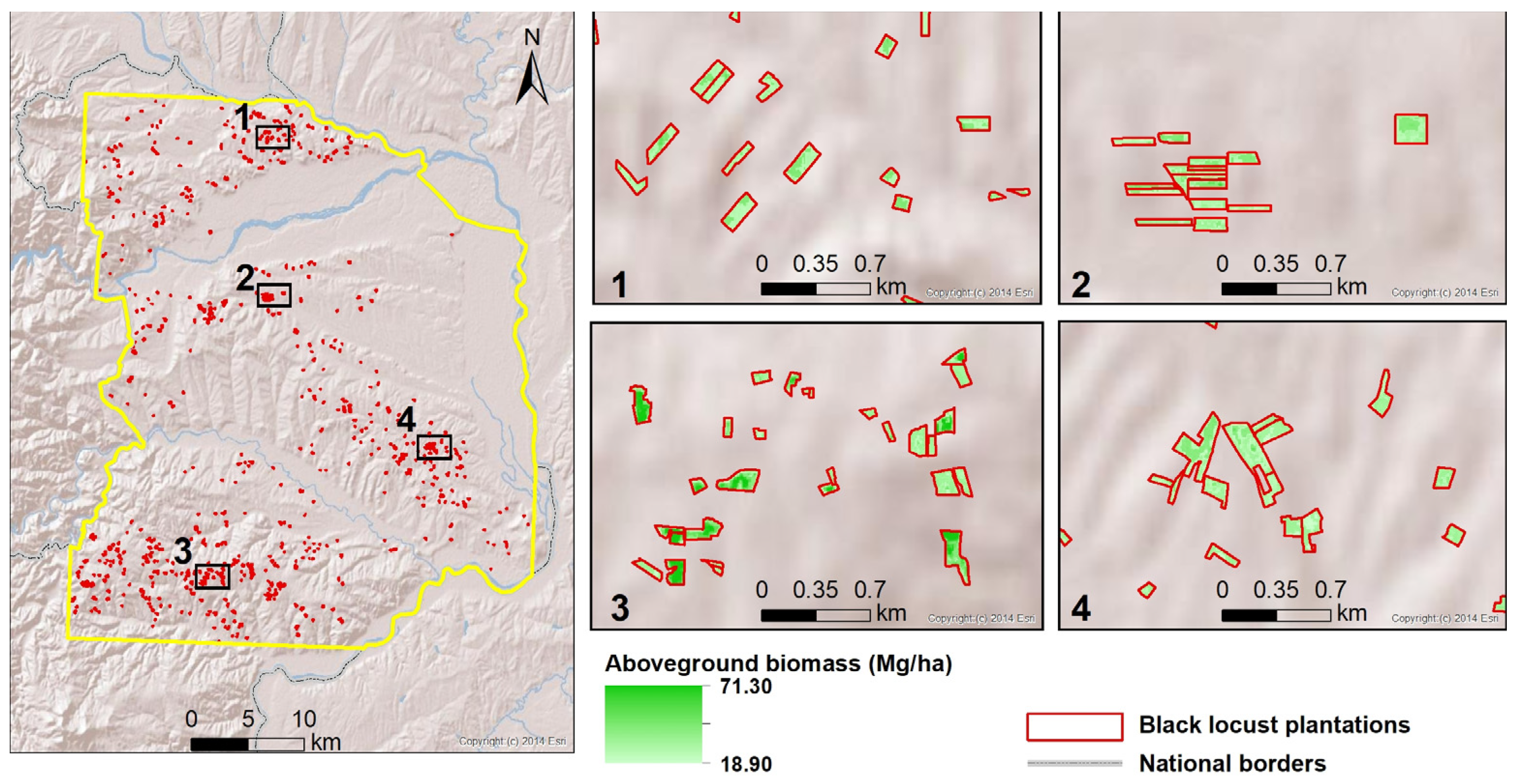 Forests 12 00902 g005 Forests 12 00902 g005