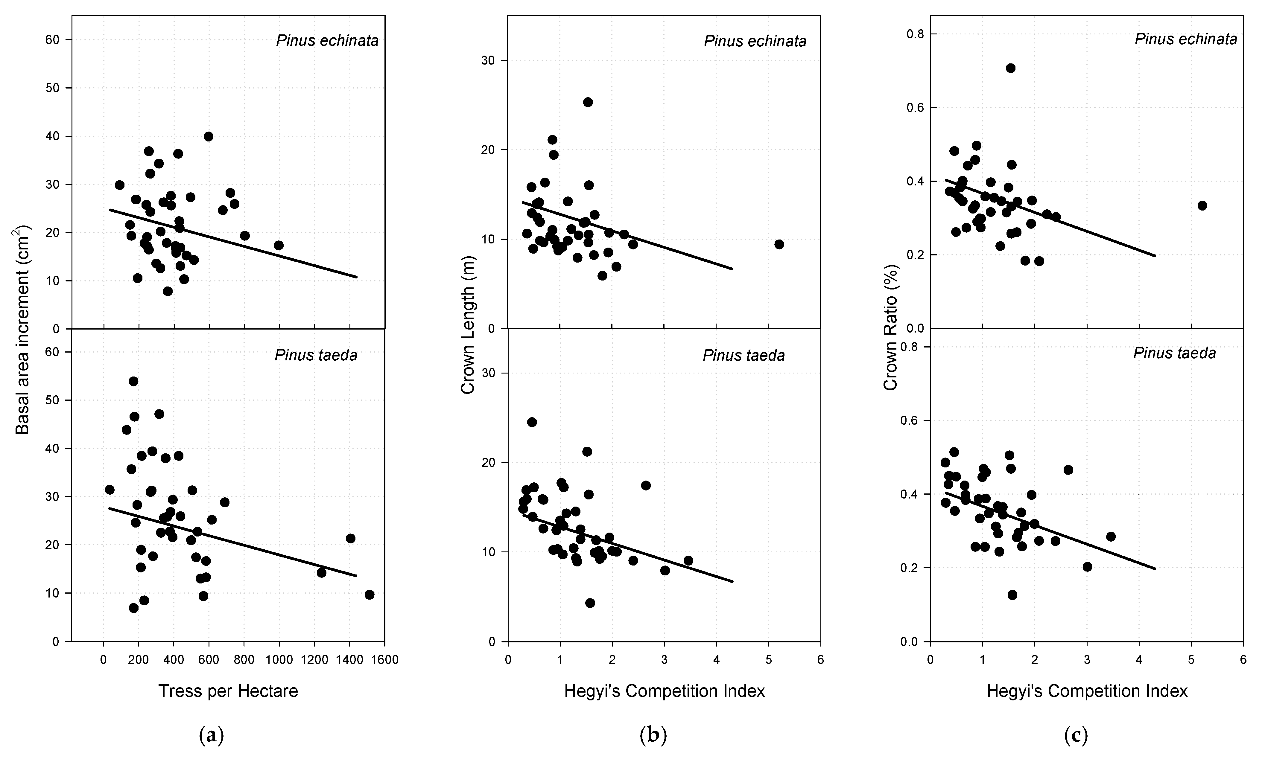 Forests 12 00935 g003 Forests 12 00935 g003