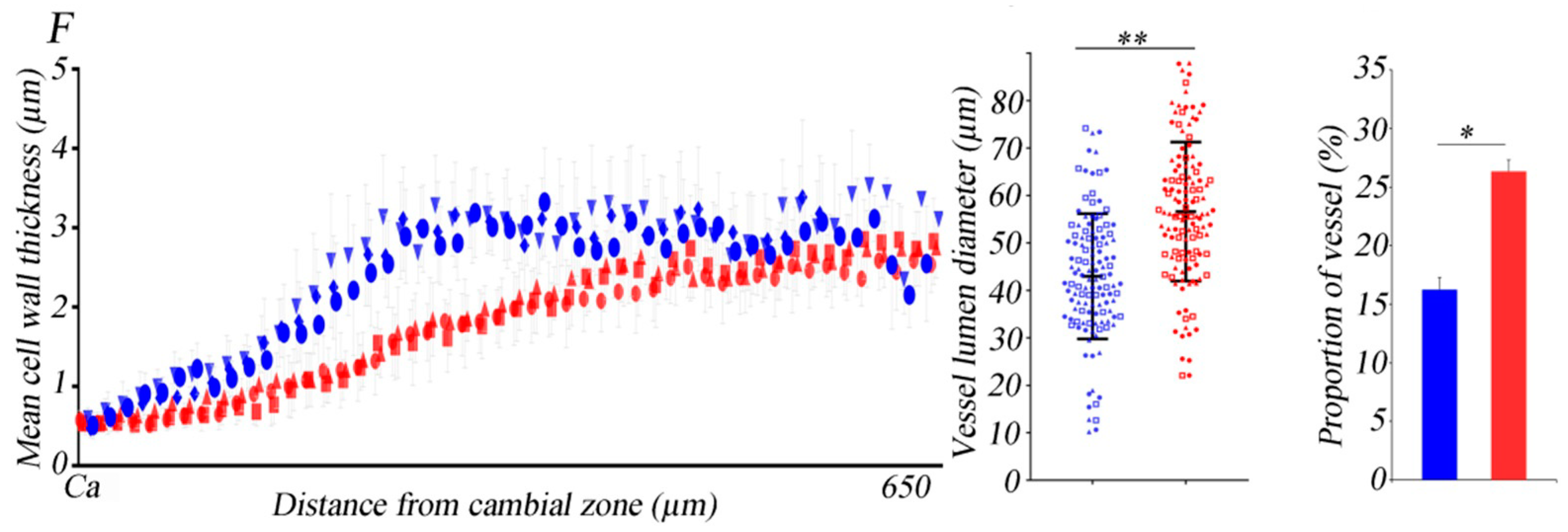 Forests 12 00972 g001b