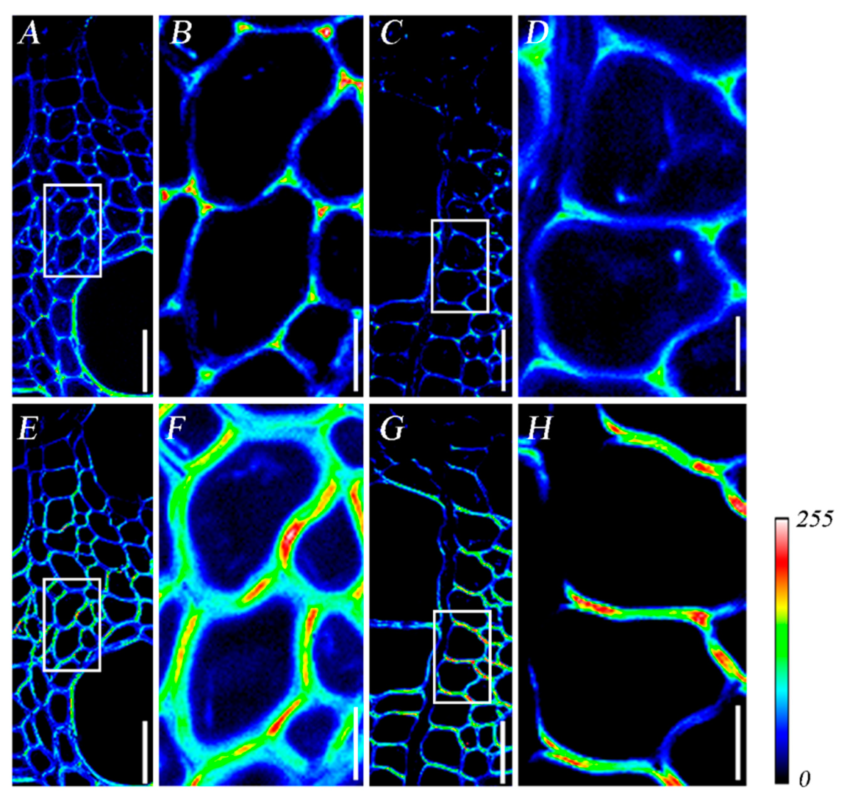 Forests 12 00972 g002
