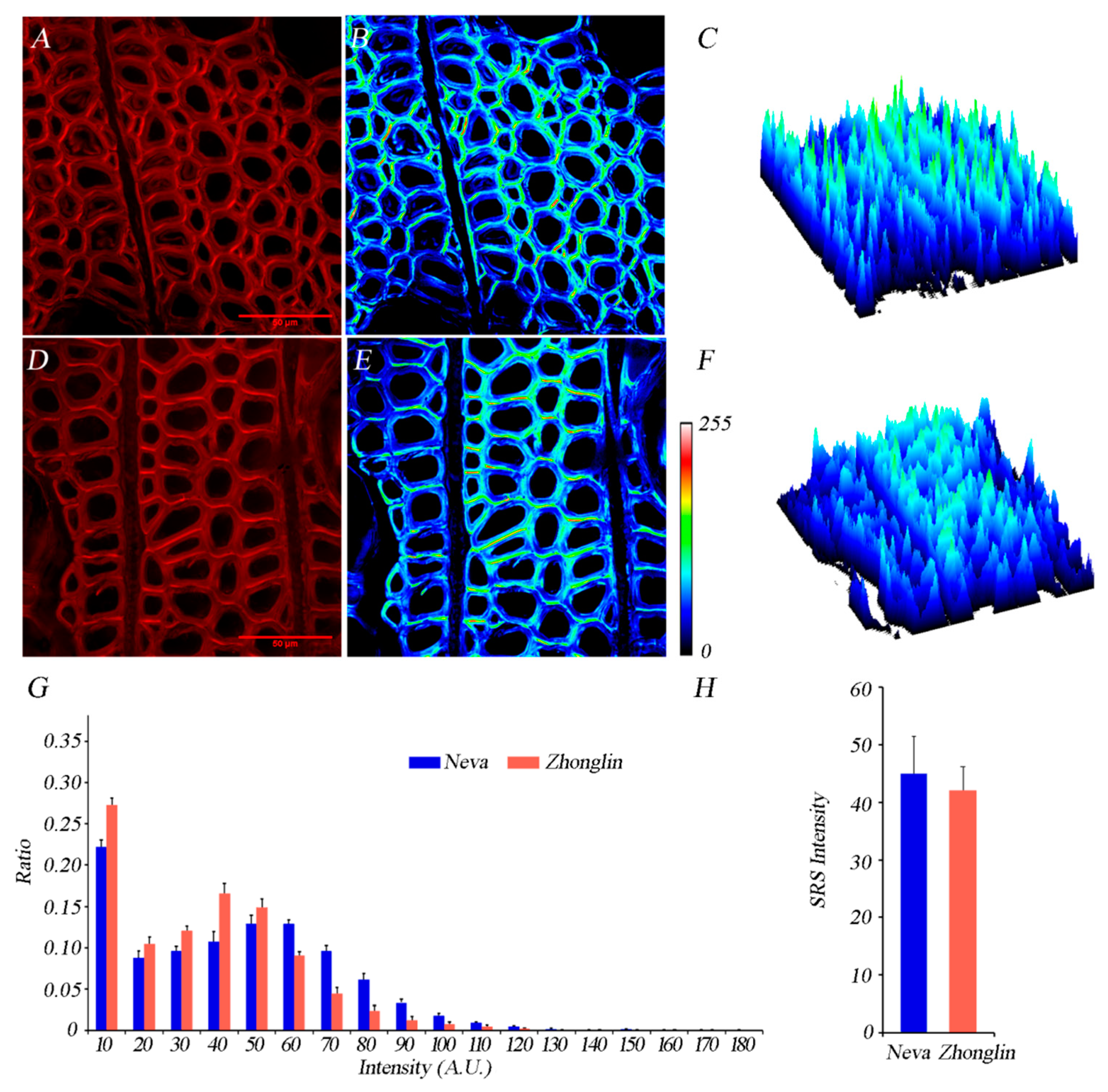 Forests 12 00972 g004
