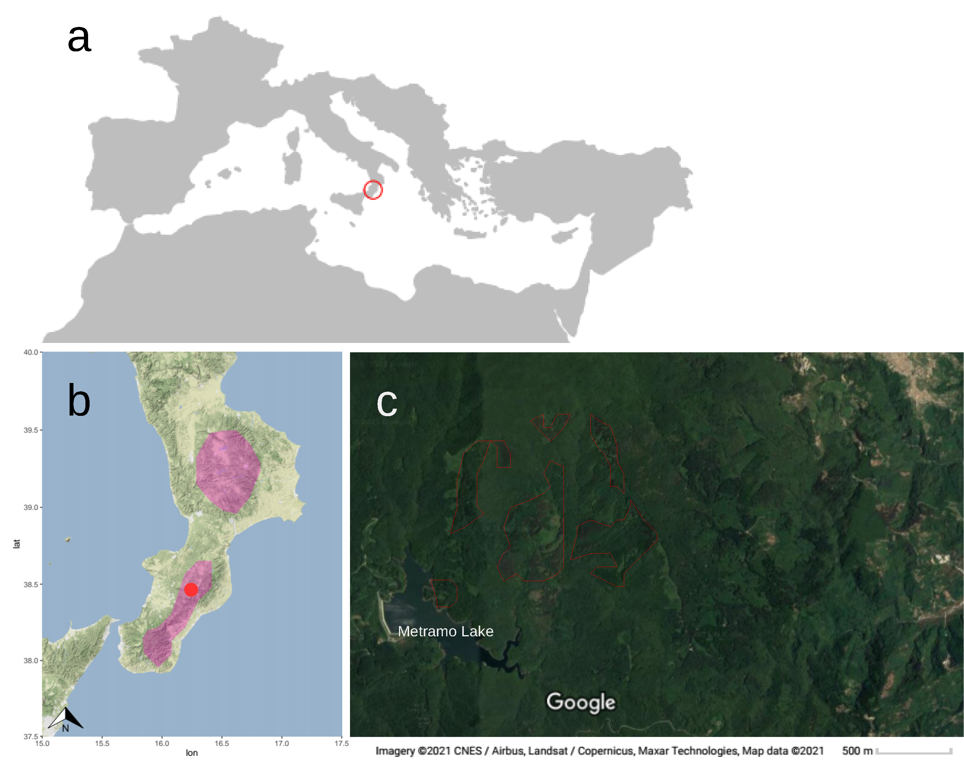 Forests 12 00983 g001 Forests 12 00983 g001