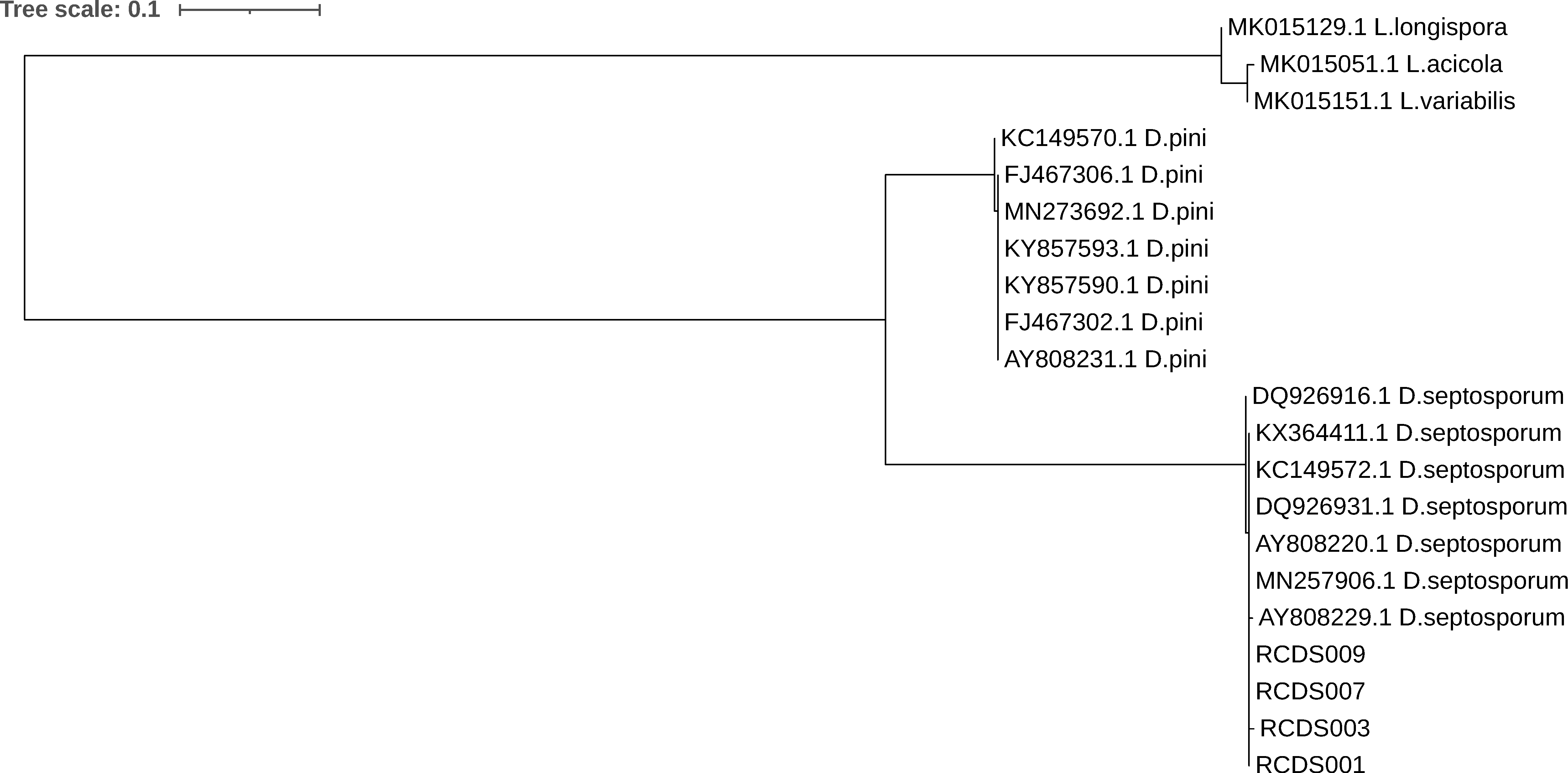 Forests 12 00983 g003 Forests 12 00983 g003