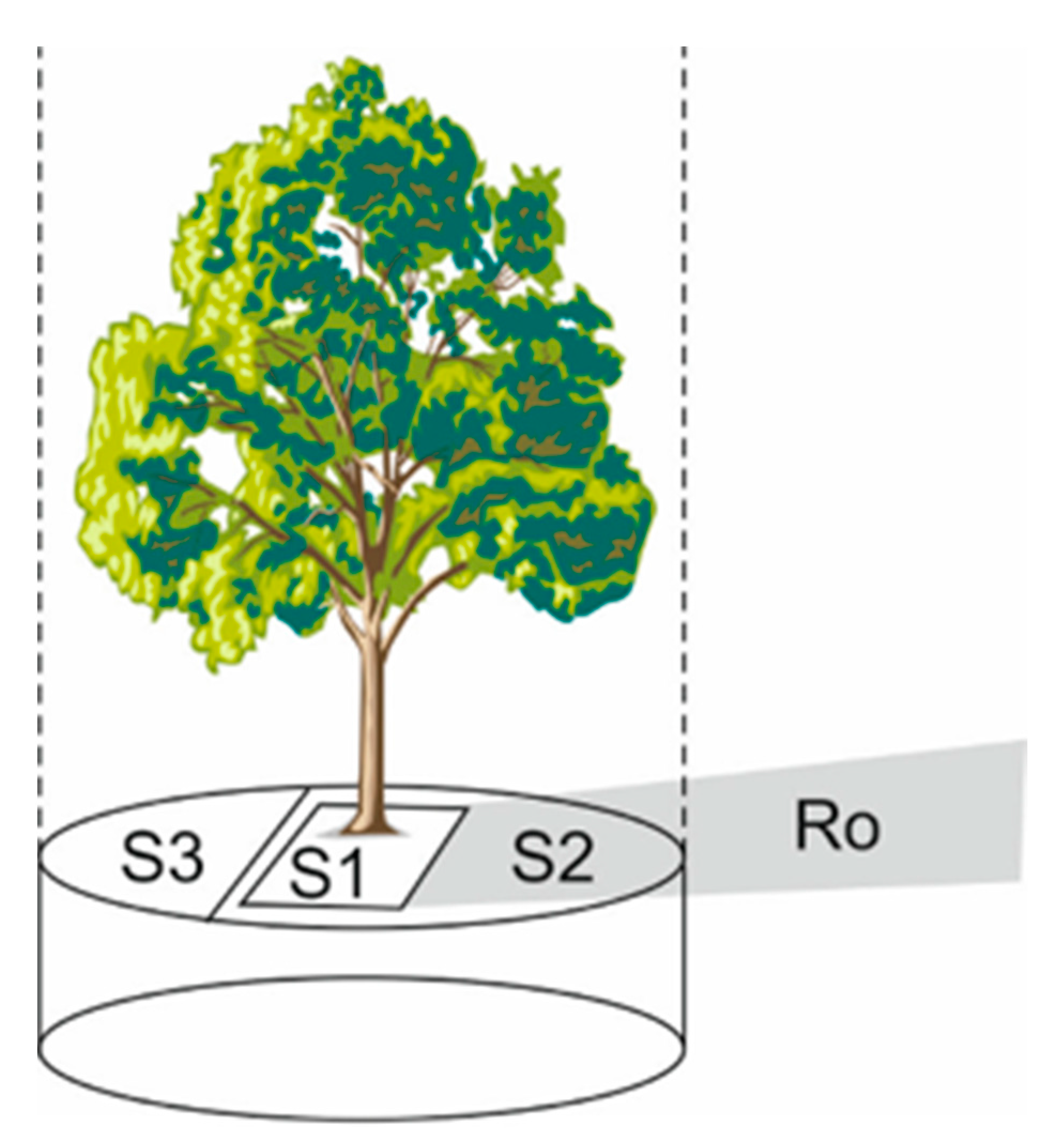 Forests | Free Full-Text | Predicting Water Supply and Evapotranspiration  of Street Trees Using Hydro-Pedo-Transfer Functions (HPTFs) | HTML