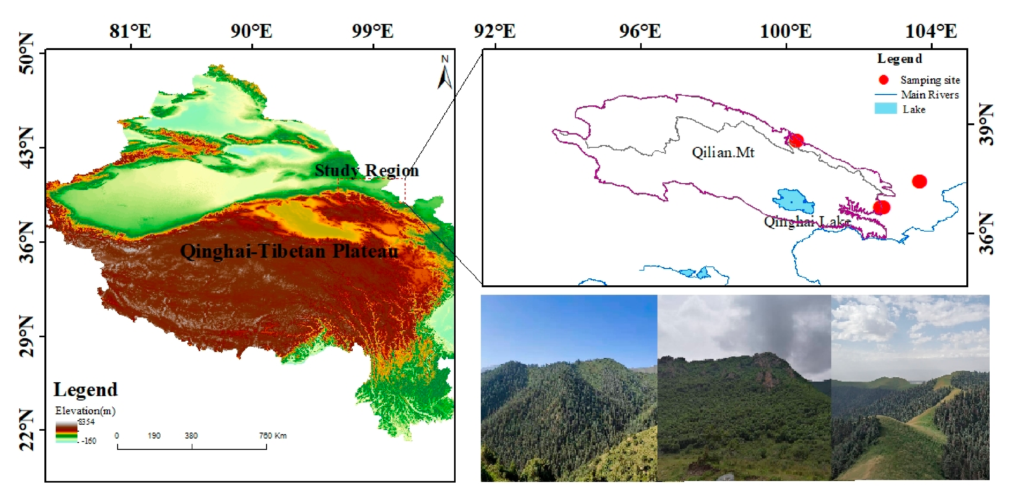 Forests 12 01015 g001