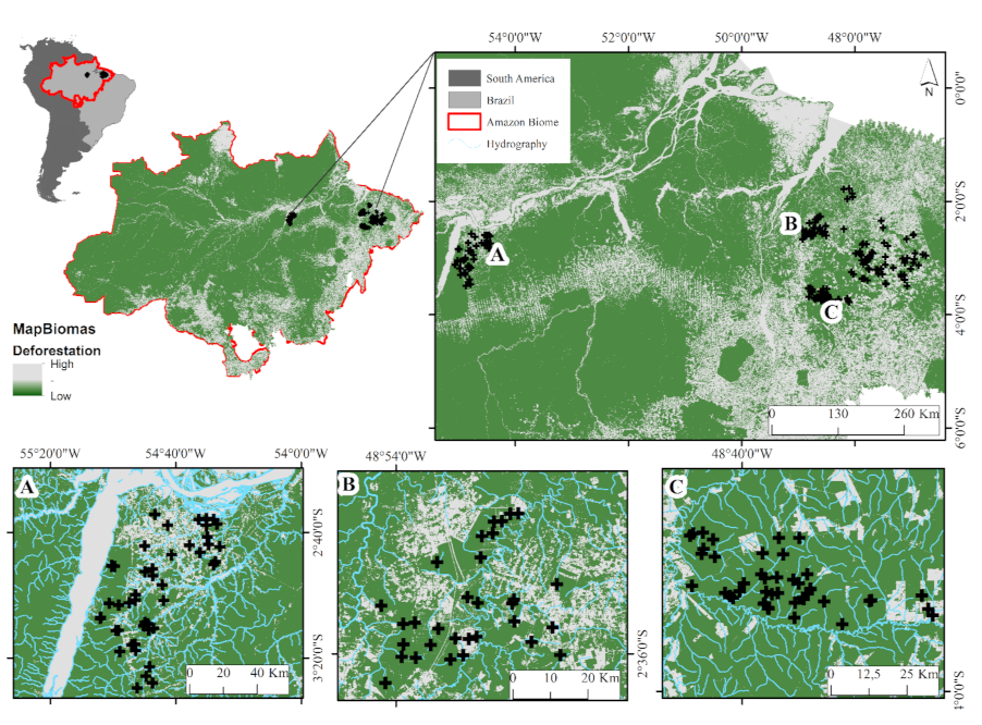Forests | Free Full-Text | Changes of Phylogenetic and Taxonomic Diversity  of Odonata (Insecta) in Response to Land Use in Amazonia