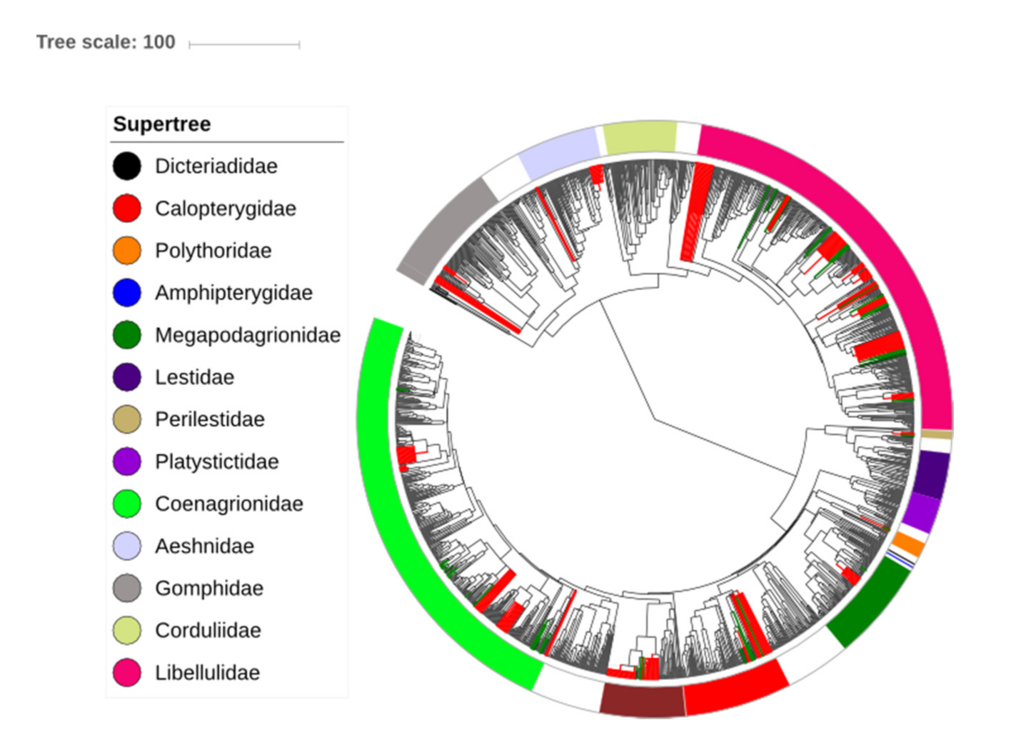 Forests 12 01061 g002 Forests 12 01061 g002