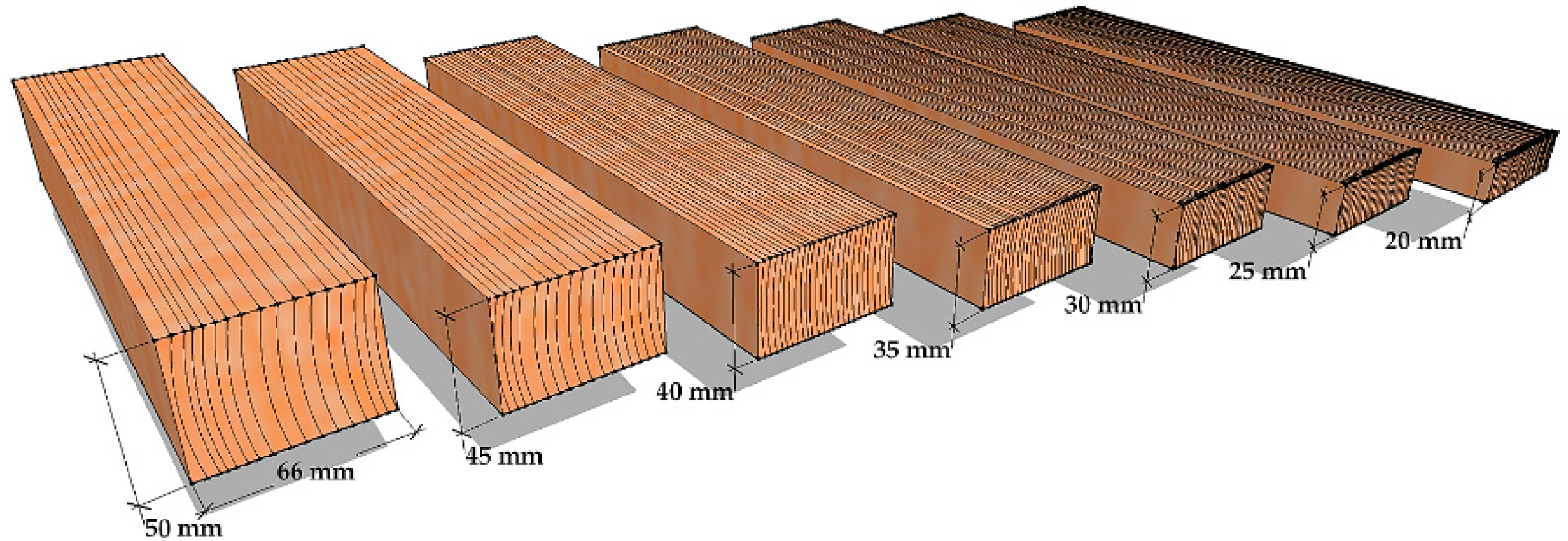 Forests 12 01081 g002 Forests 12 01081 g002