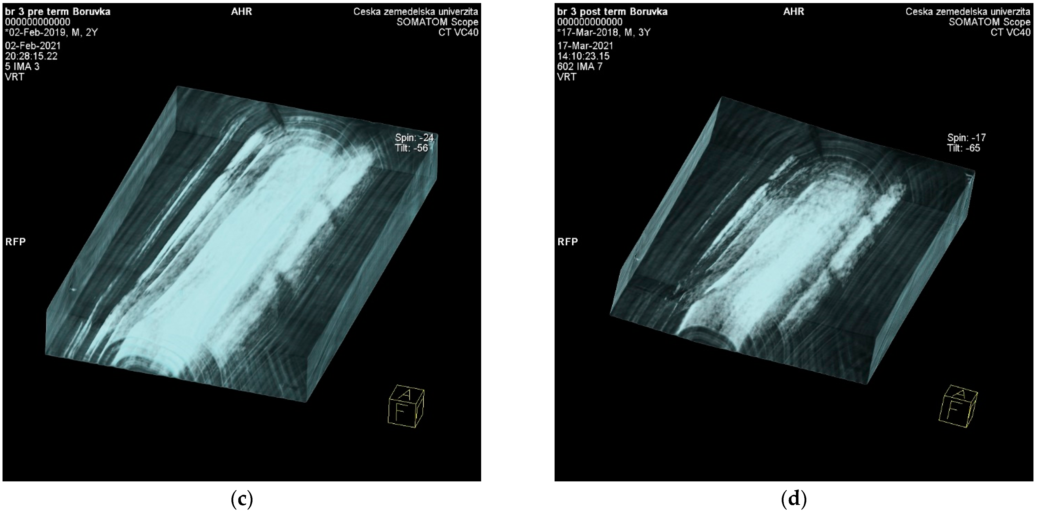 Forests 12 01081 g005b Forests 12 01081 g005b