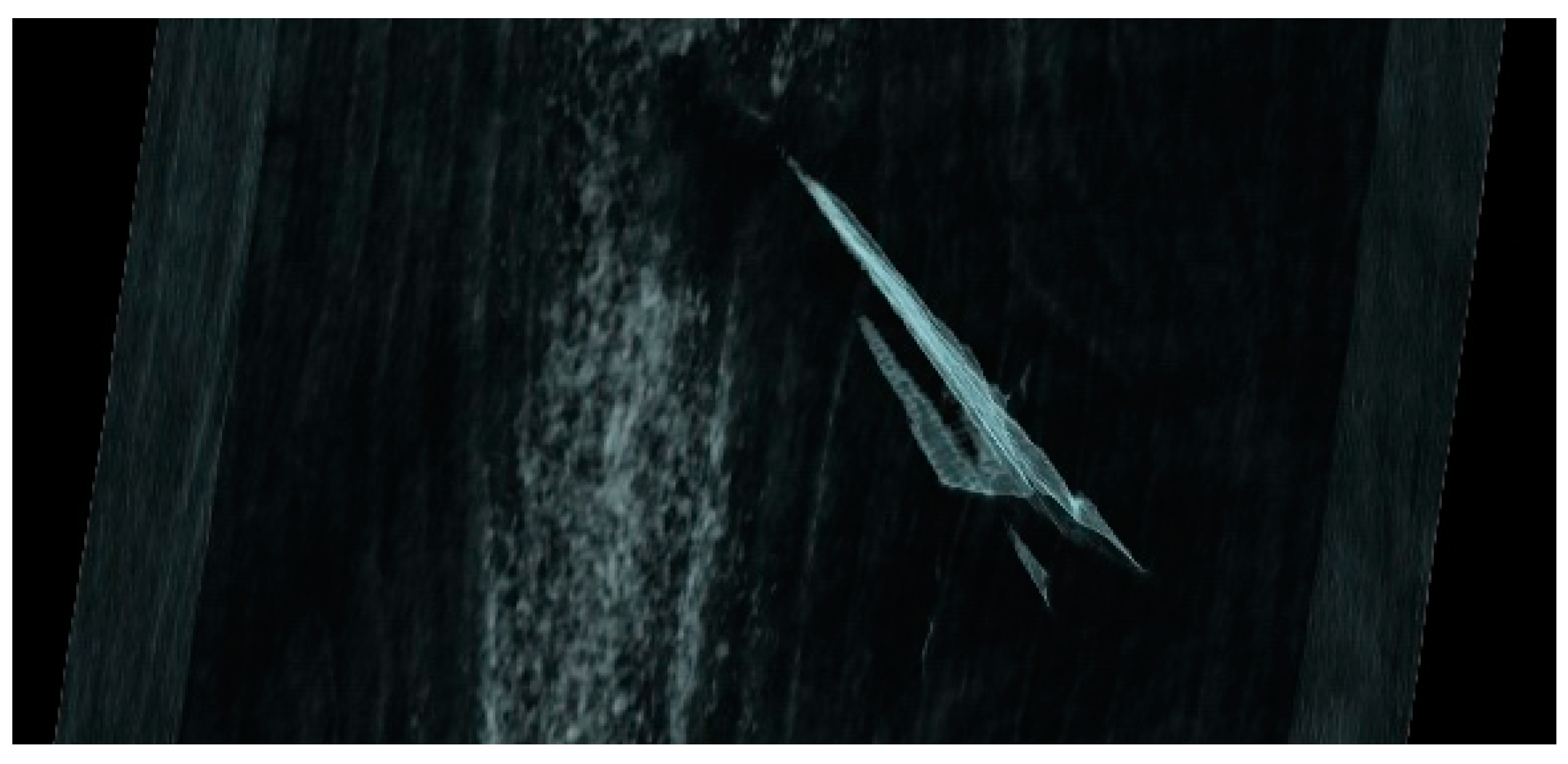 Forests 12 01081 g008 Forests 12 01081 g008