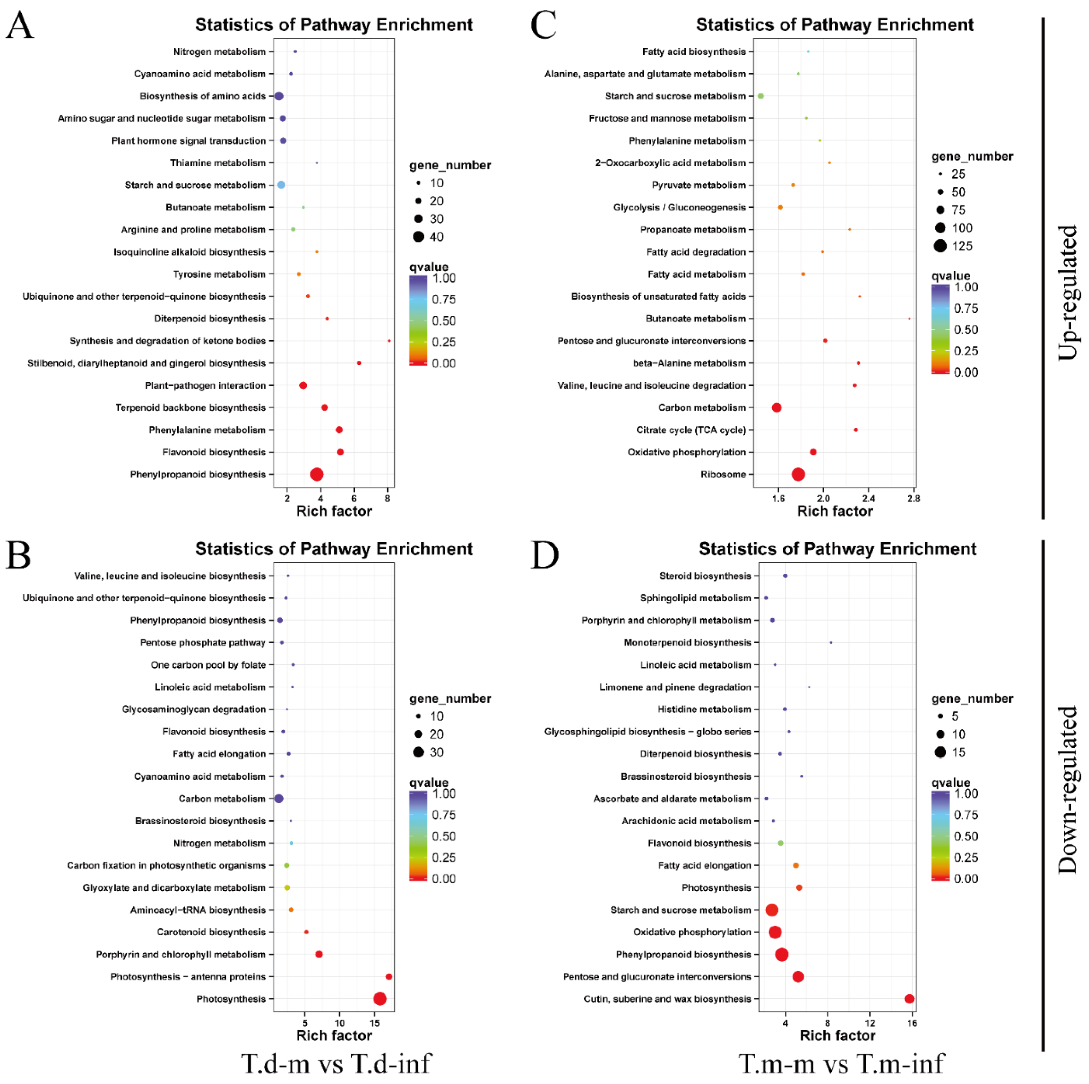 Forests 12 01090 g005