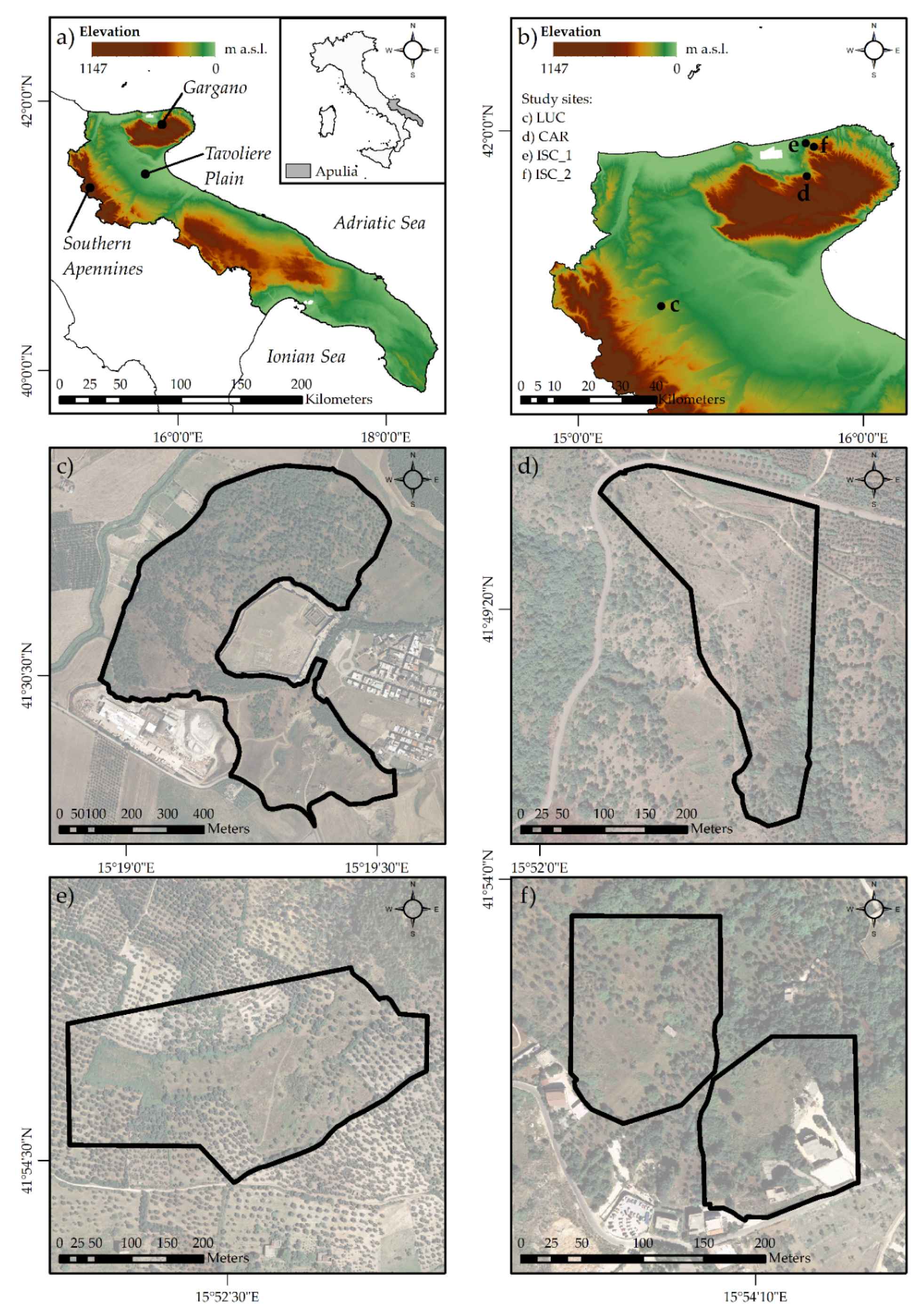 Forests 12 01105 g001