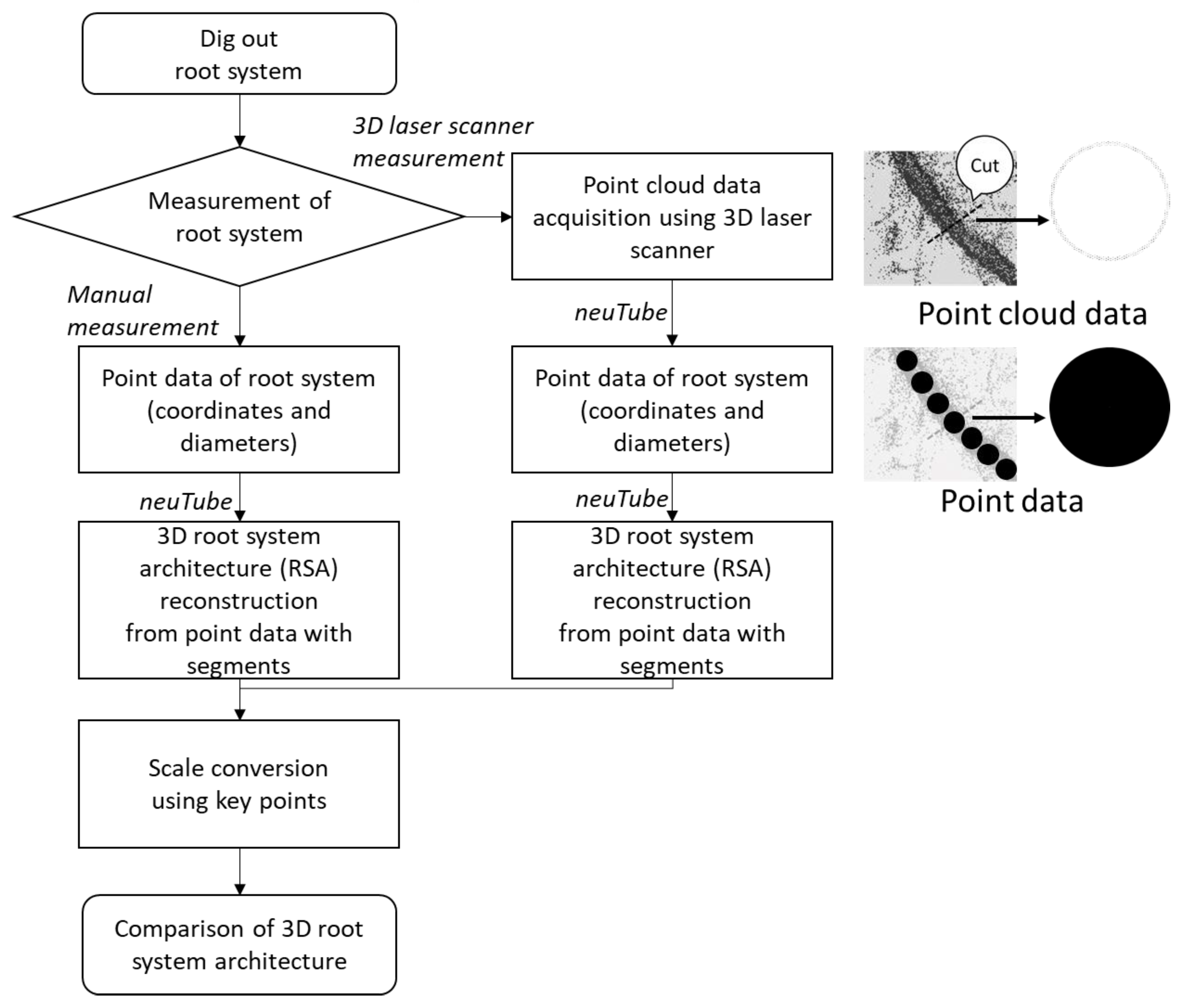 Forests | Free Full-Text | Reconstruction of Conifer Root Systems Mapped  with Point Cloud Data Obtained by 3D Laser Scanning Compared with Manual  Measurement | HTML