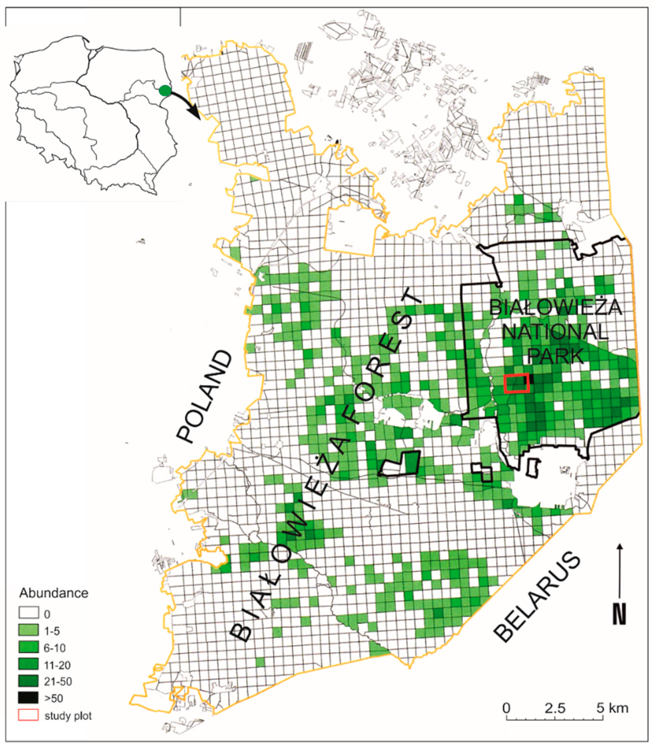 Forests 12 01162 g001