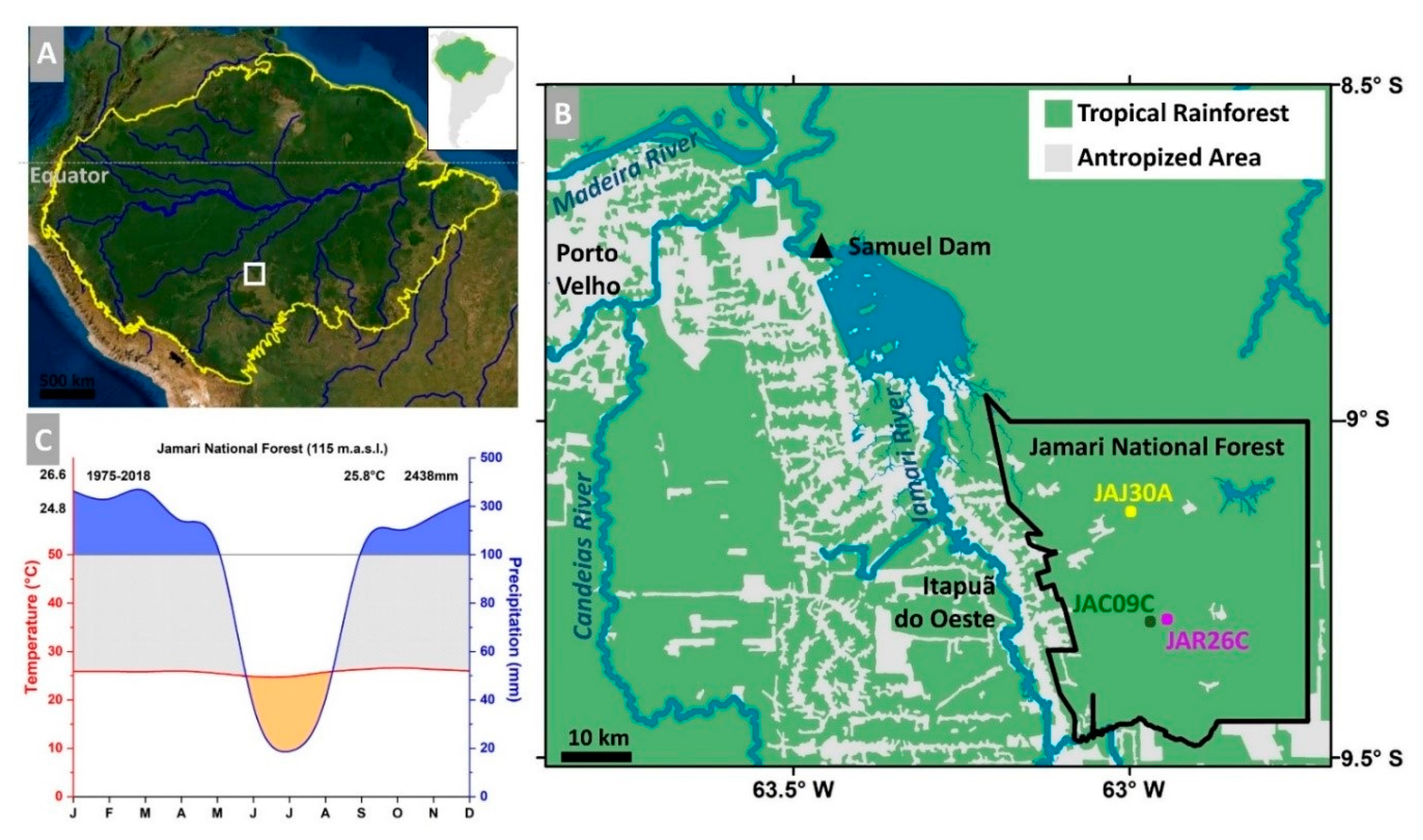 Forests | Free Full-Text | Growth Assessment of Native Tree Species from  the Southwestern Brazilian Amazonia by Post-AD 1950 14C Analysis:  Implications for Tropical Dendroclimatology Studies and Atmospheric 14C  Reconstructions