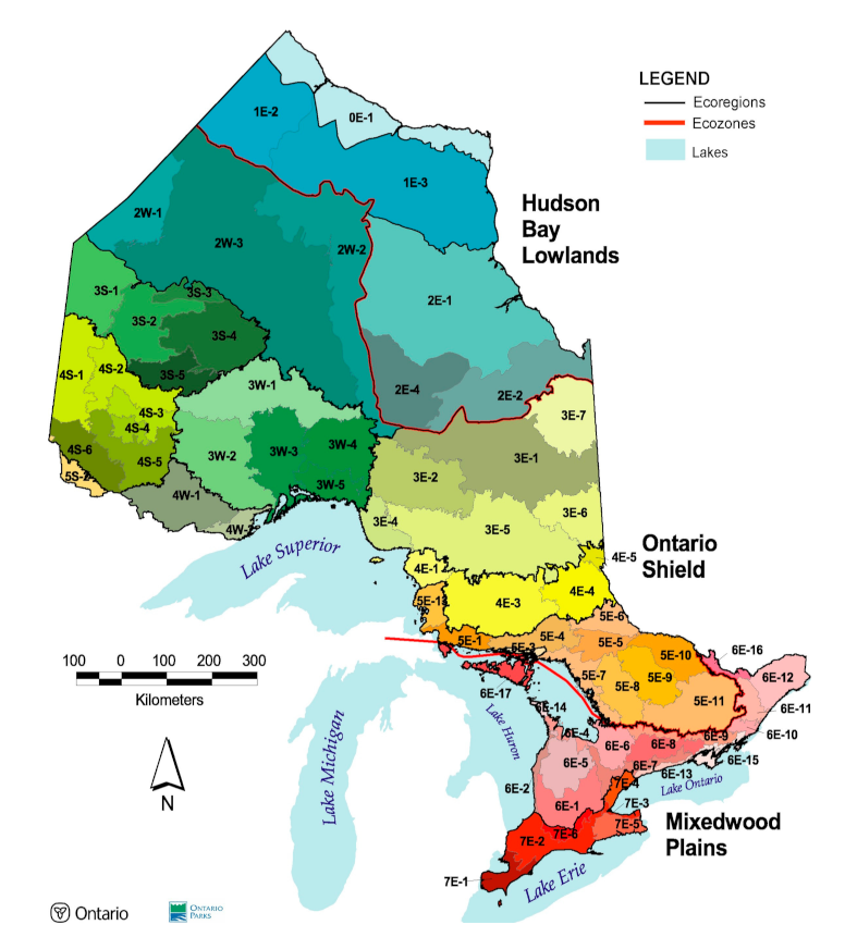 Forests | Free Full-Text | Evaluating the Performance of a Forest ...