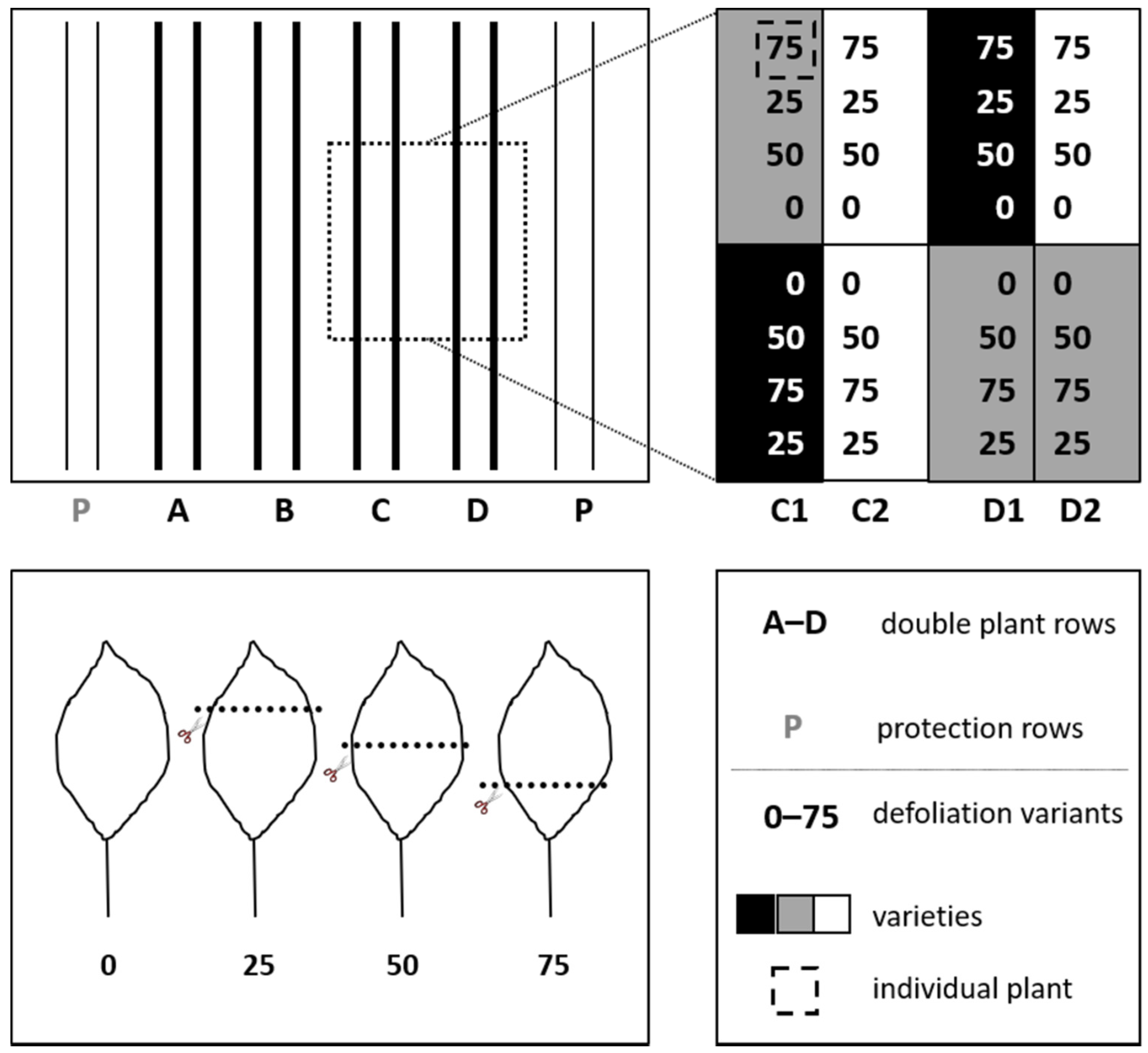 Forests, Free Full-Text