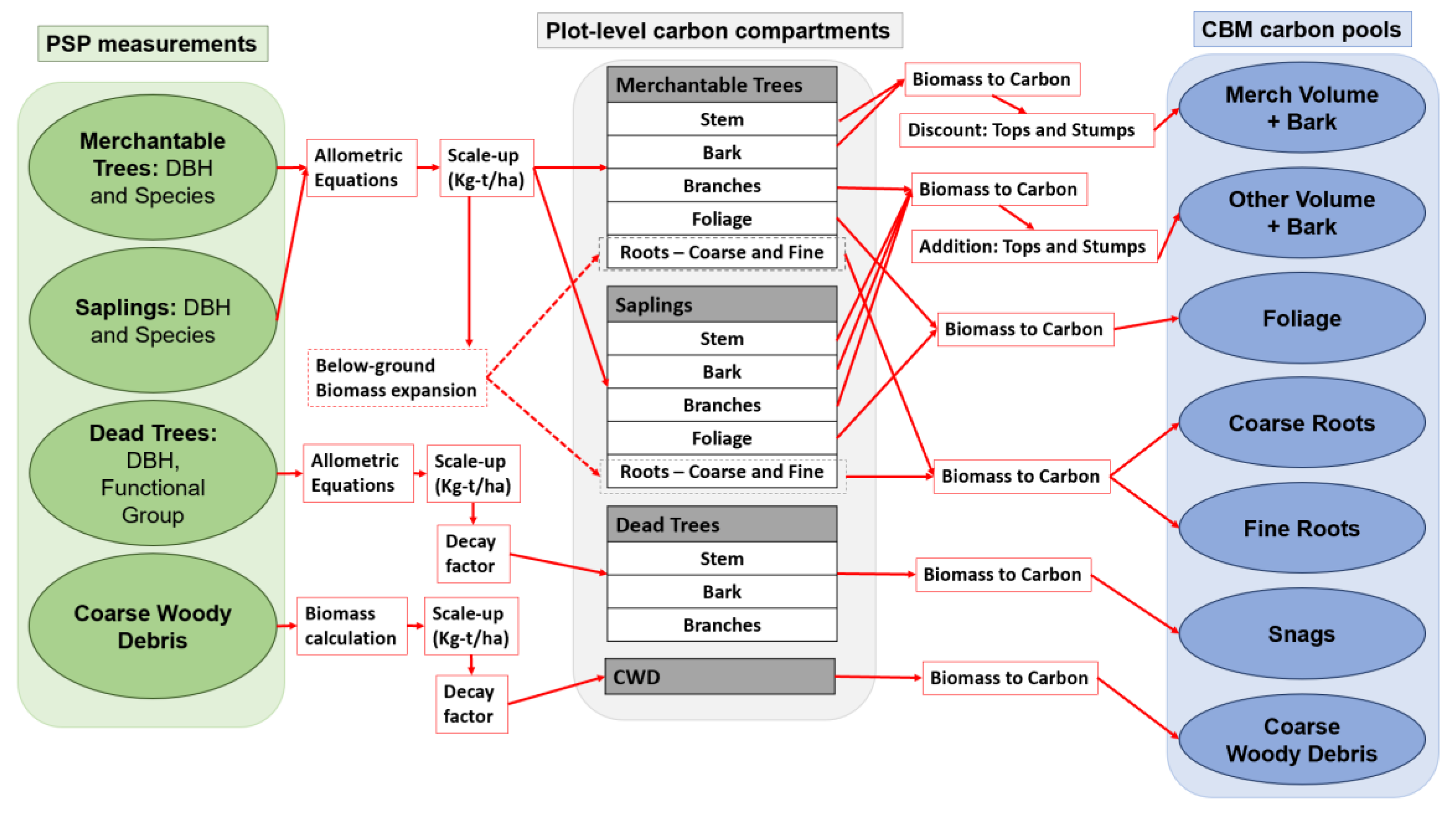 Forests 12 01235 g003