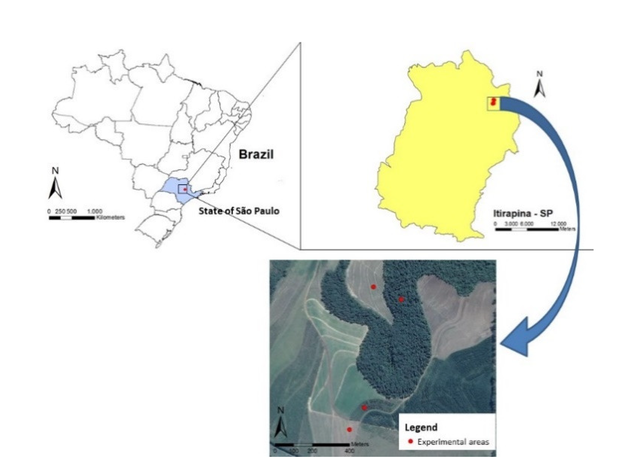 Forests 12 01240 g001