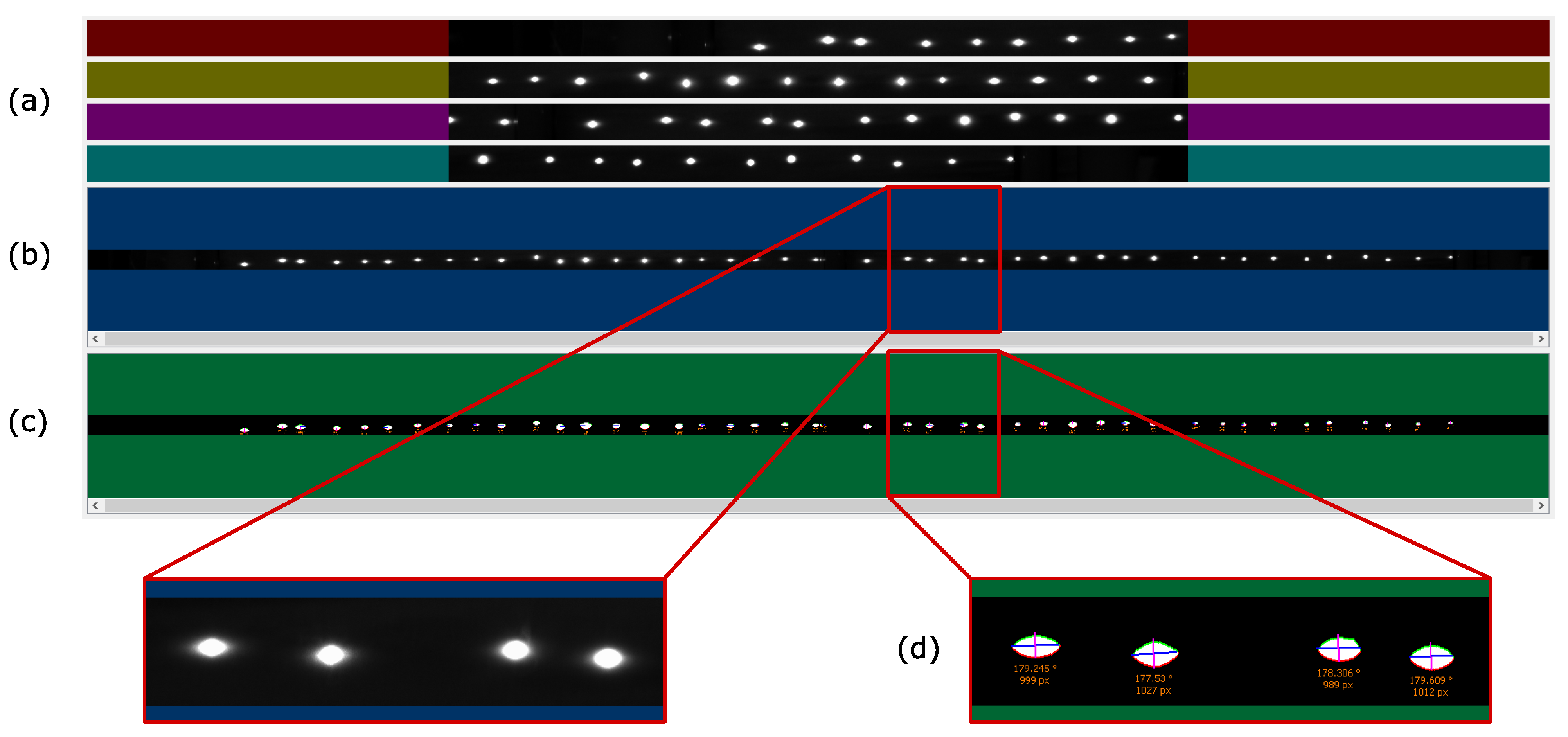 Forests 12 01264 g002