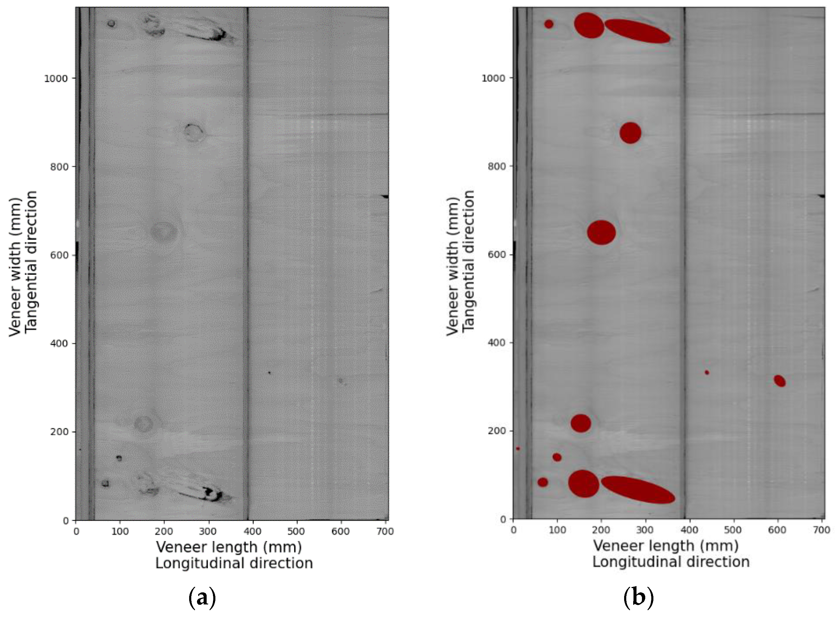Forests 12 01264 g004