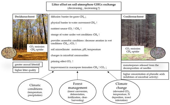 Forests, Free Full-Text