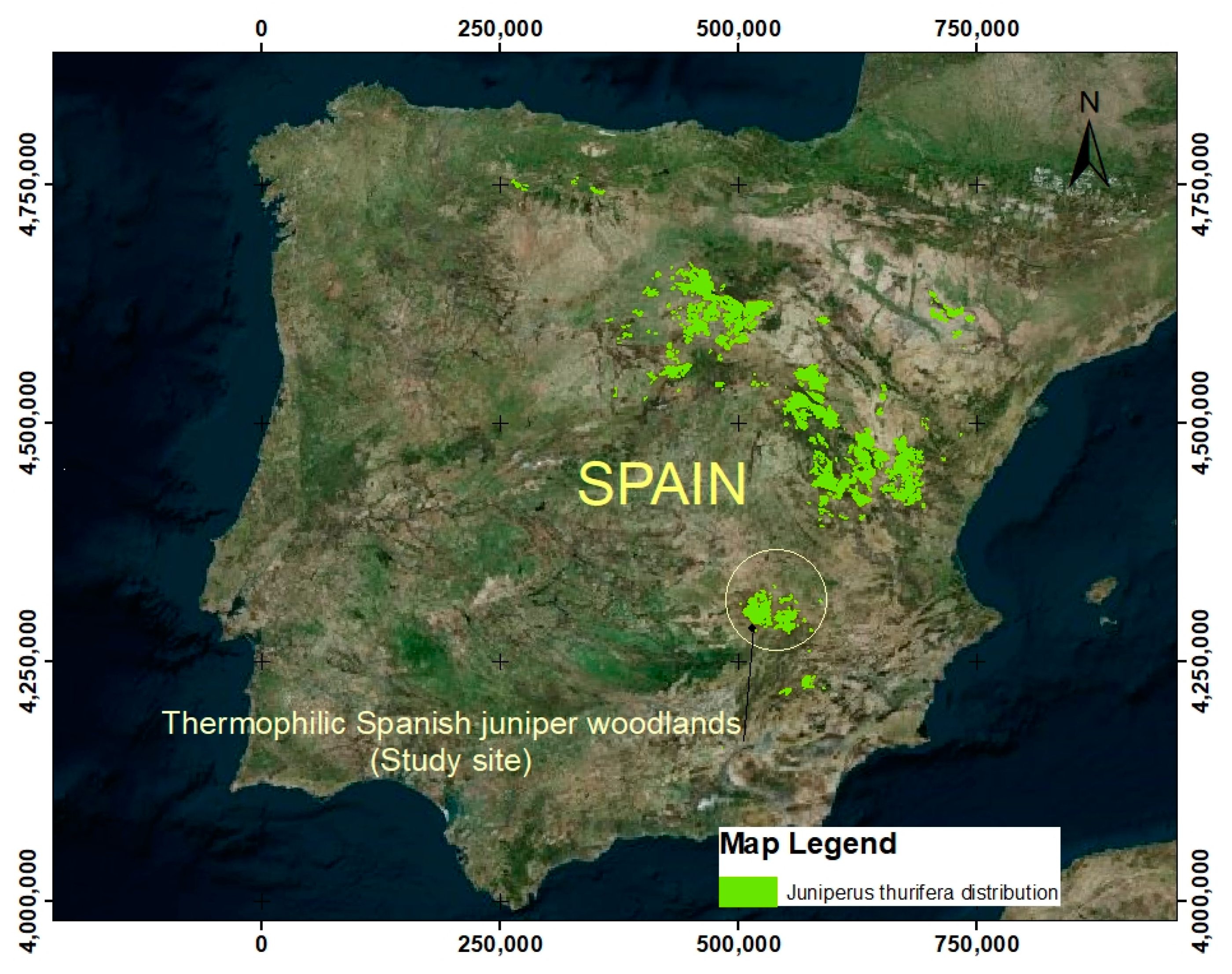 I maked my own Temerant Map (Spanish version) : r