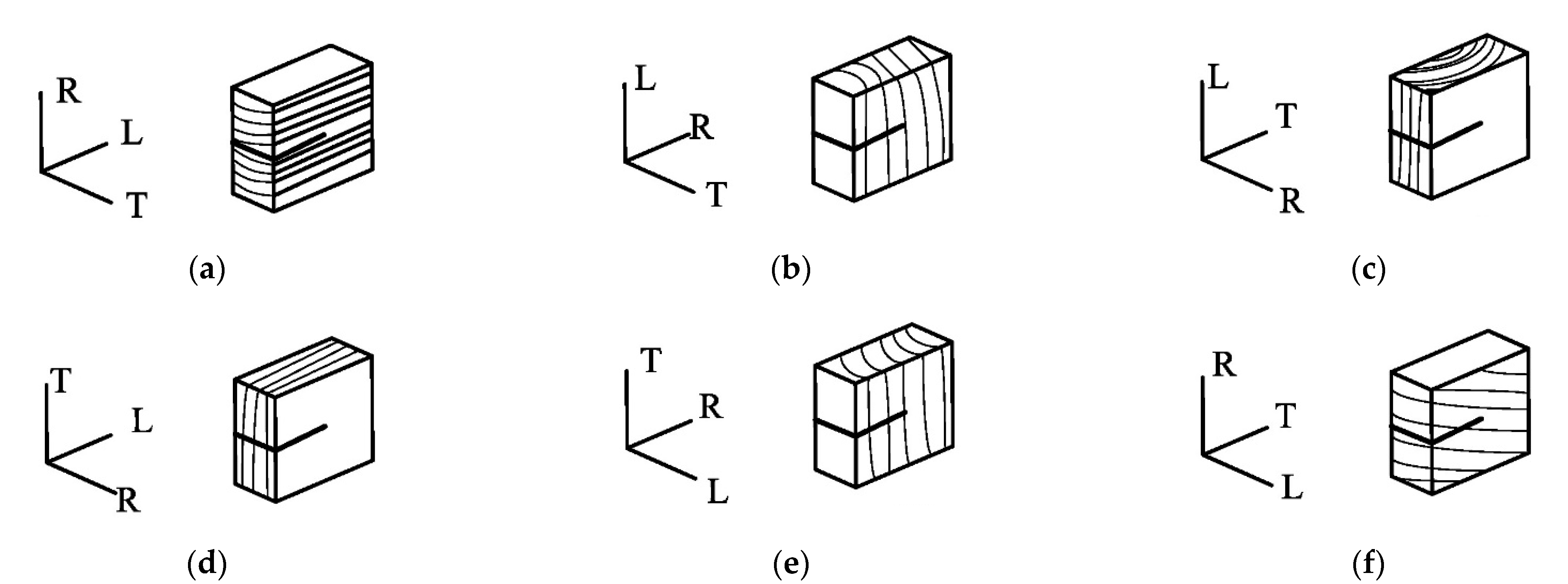 Forests Free Full Text Characterizing Mode I Fracture Behaviors Of Wood Using Compact Tension In Selected System Crack Propagation Html