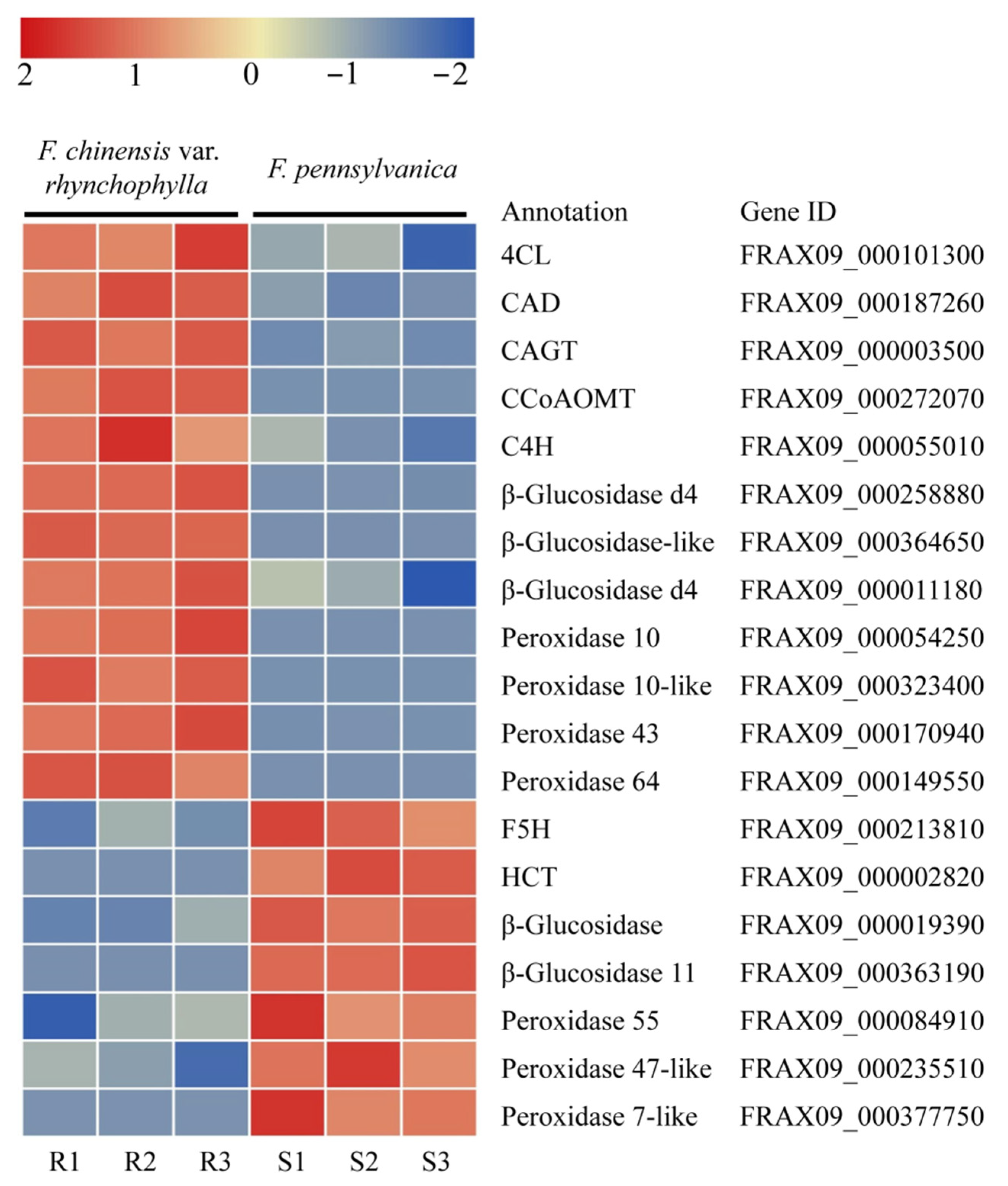 Forests 12 01373 g003 Forests 12 01373 g003