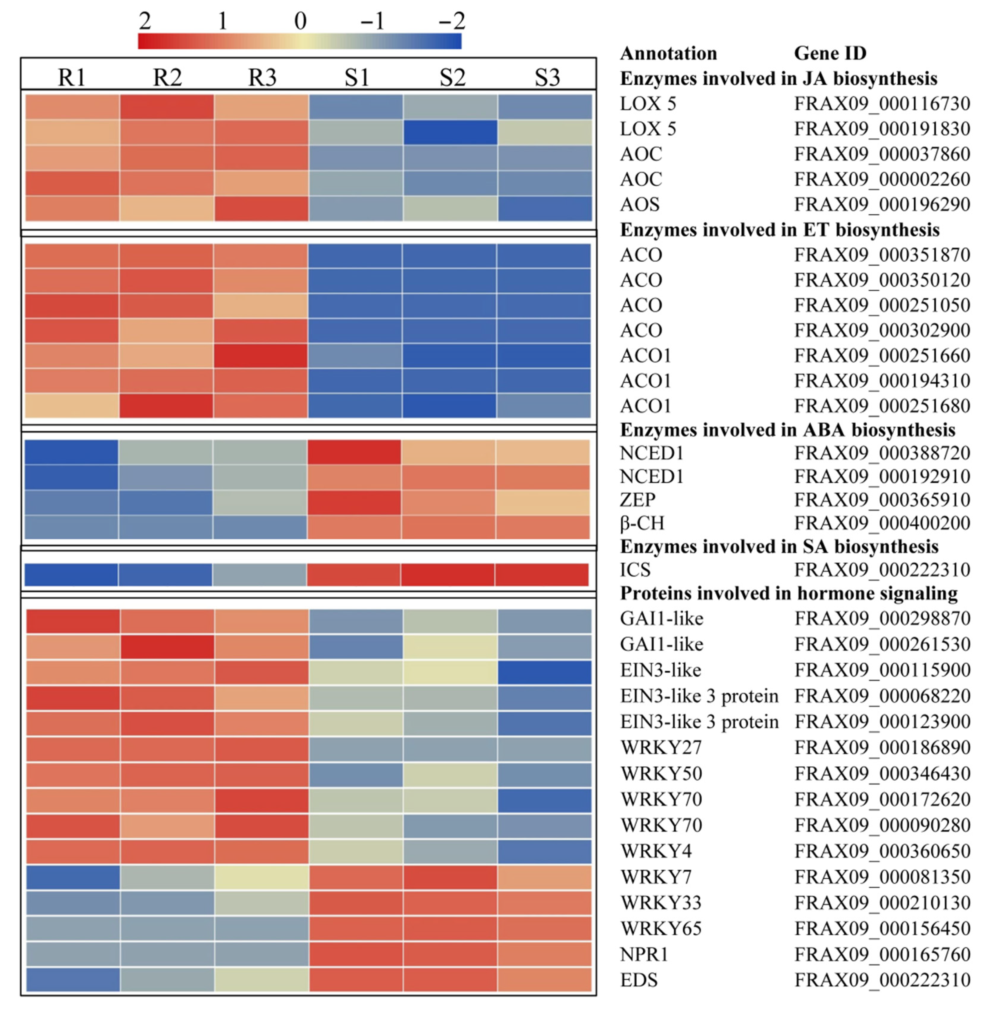 Forests 12 01373 g004 Forests 12 01373 g004